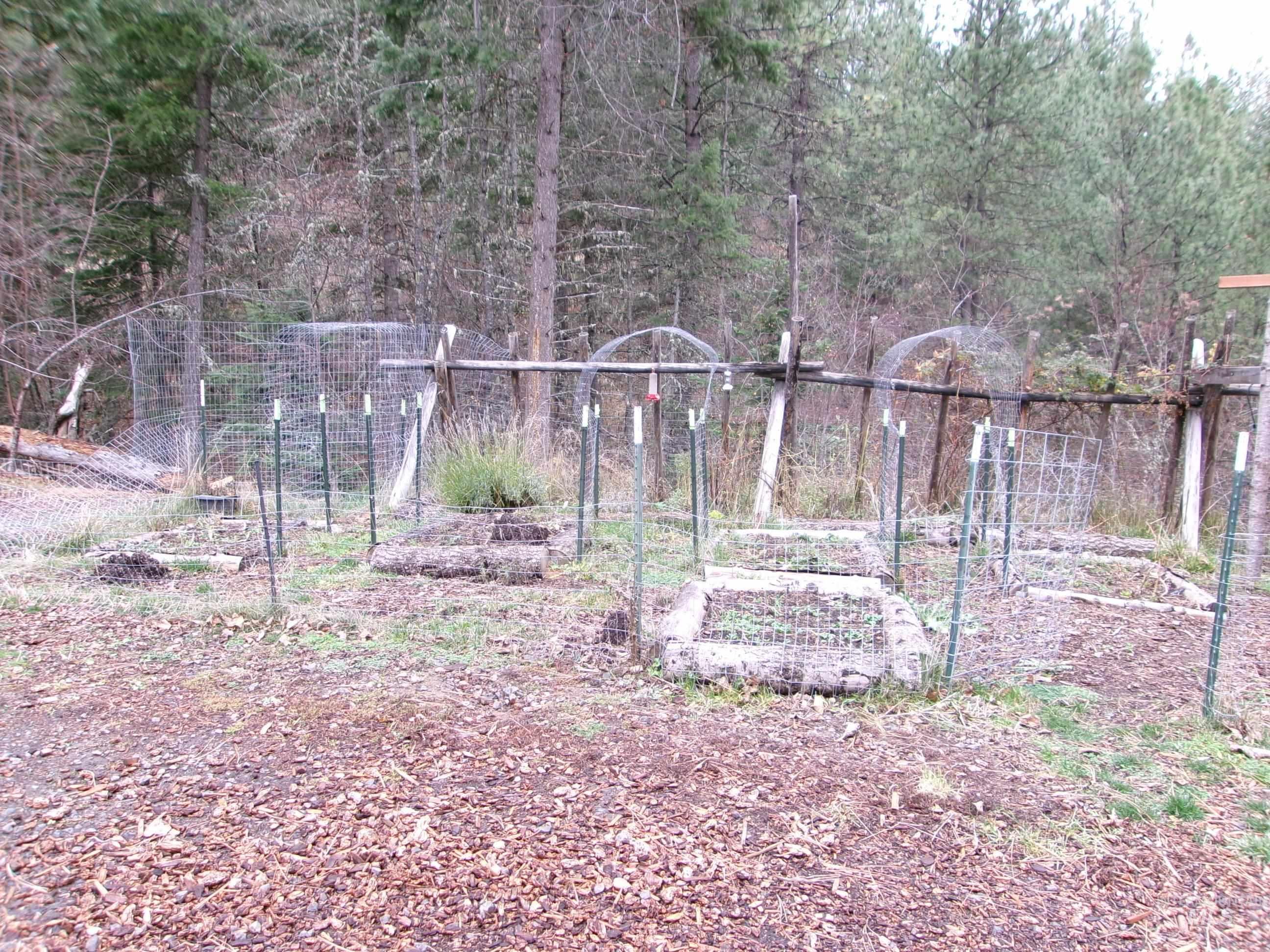 View of yard featuring a garden