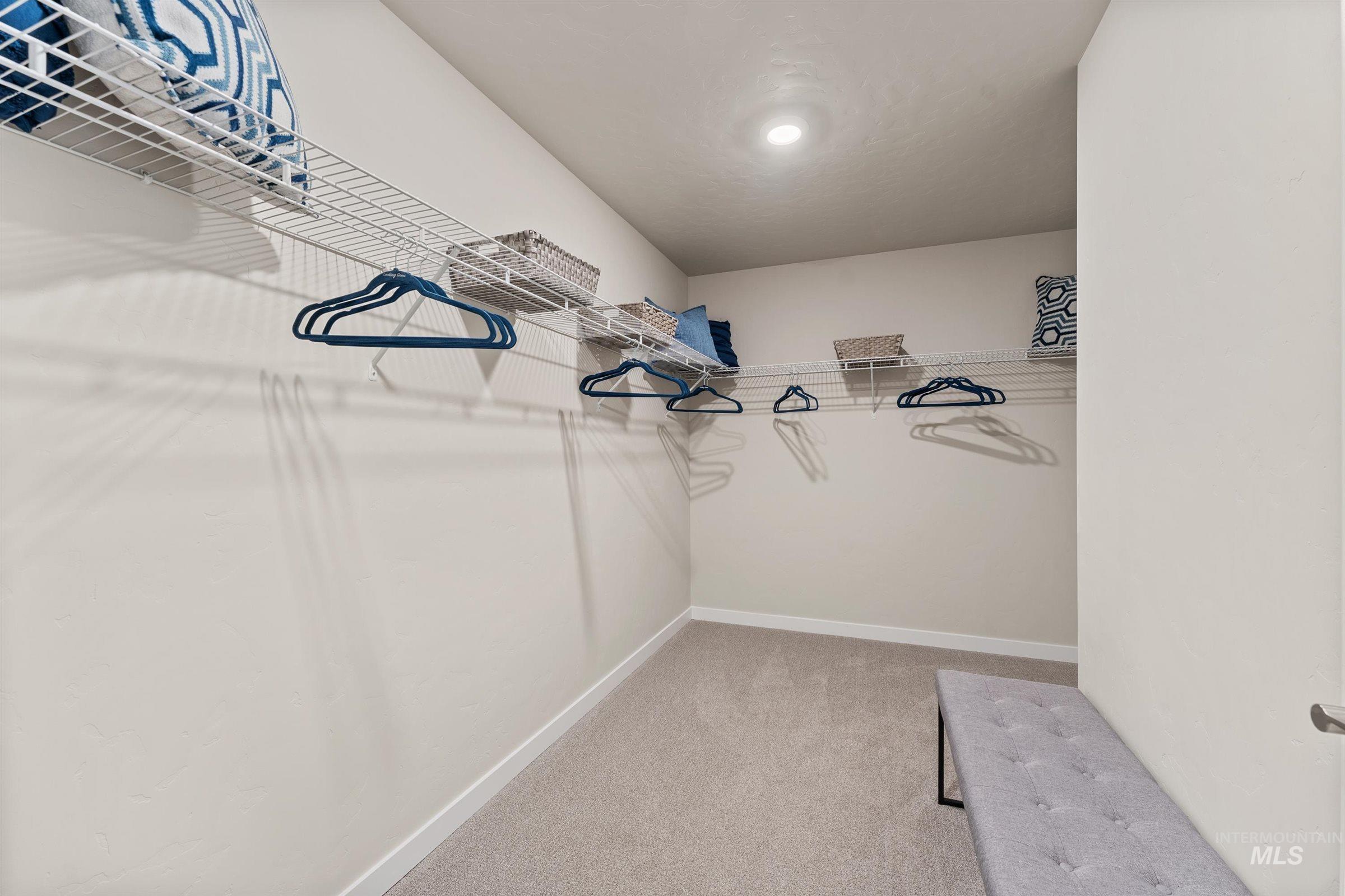 Spacious closet featuring light carpet