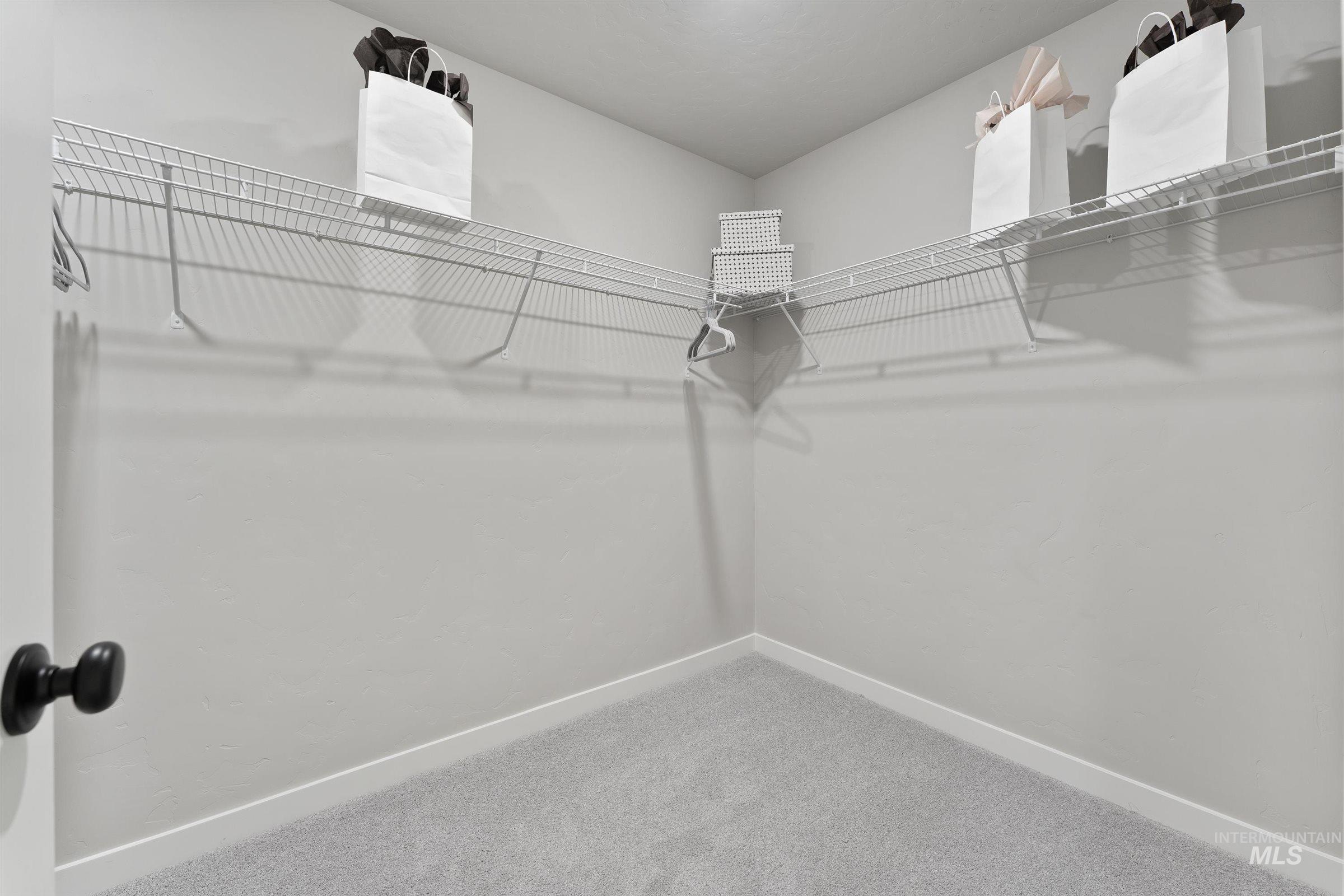 Walk in closet featuring light colored carpet