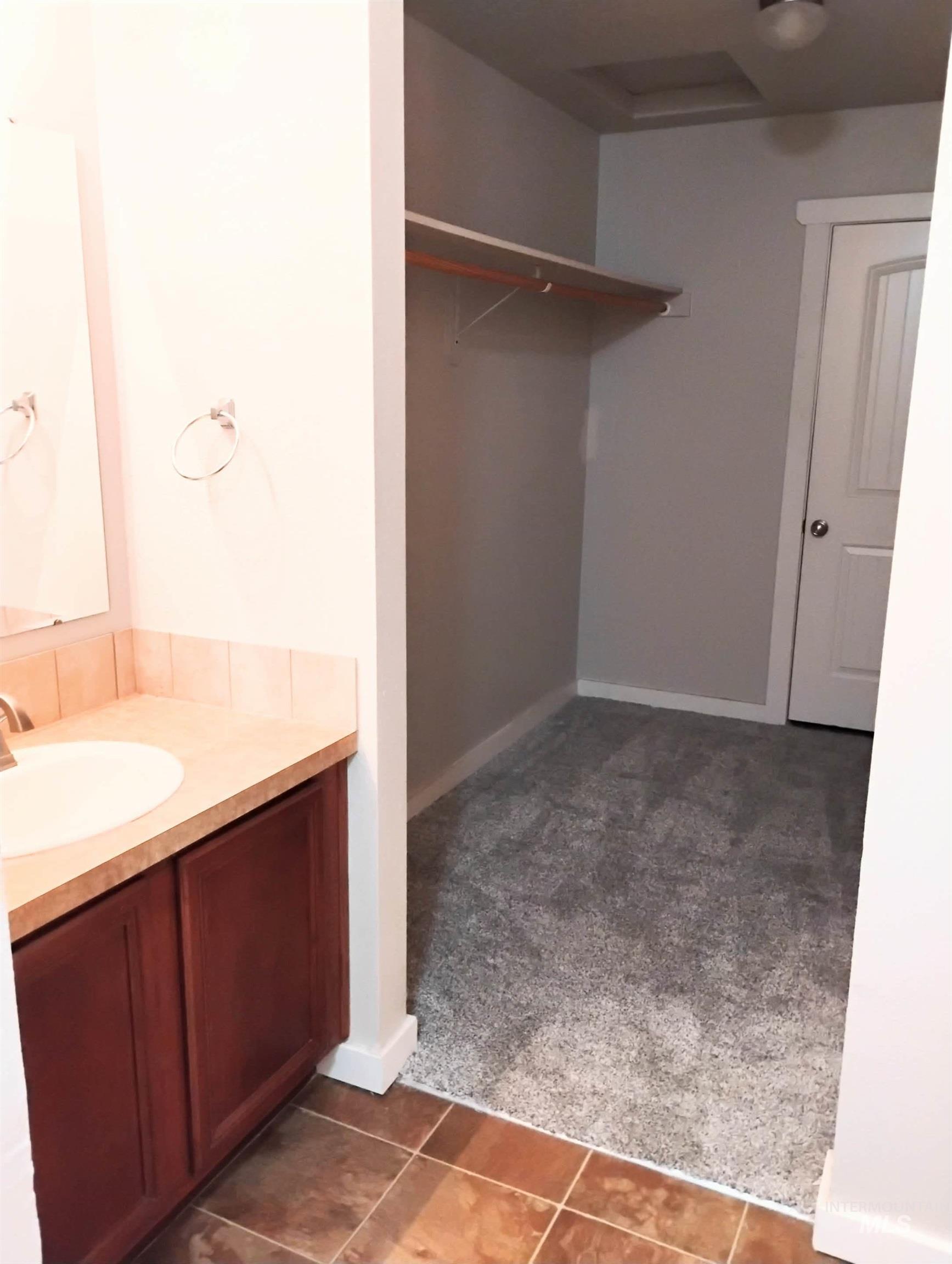 Bathroom with vanity, dark tile patterned flooring, and a spacious closet