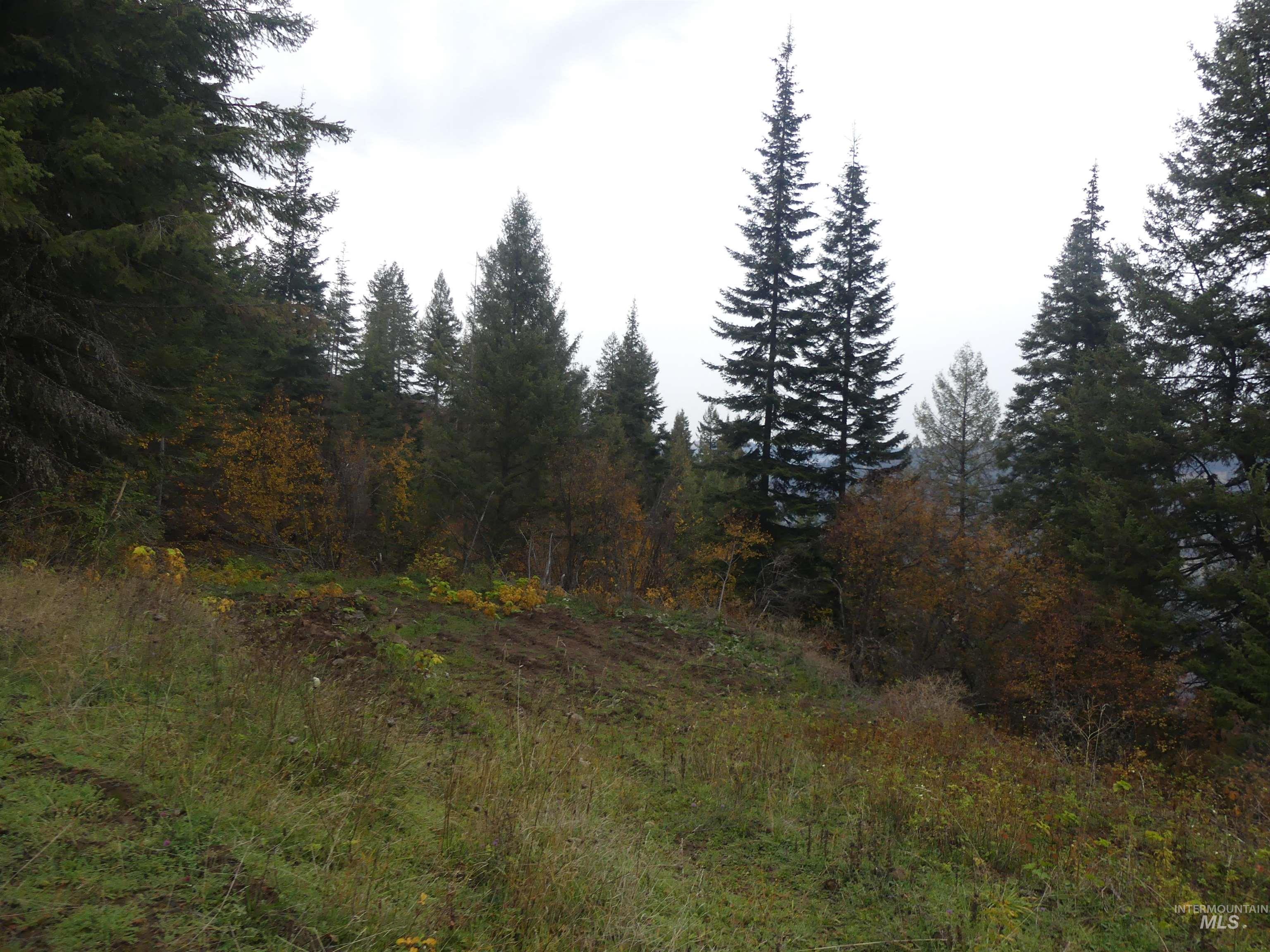 1684 Tranquil Lane (#1), Orofino, Idaho 83544, Land For Sale, Price $129,900, 98967943
