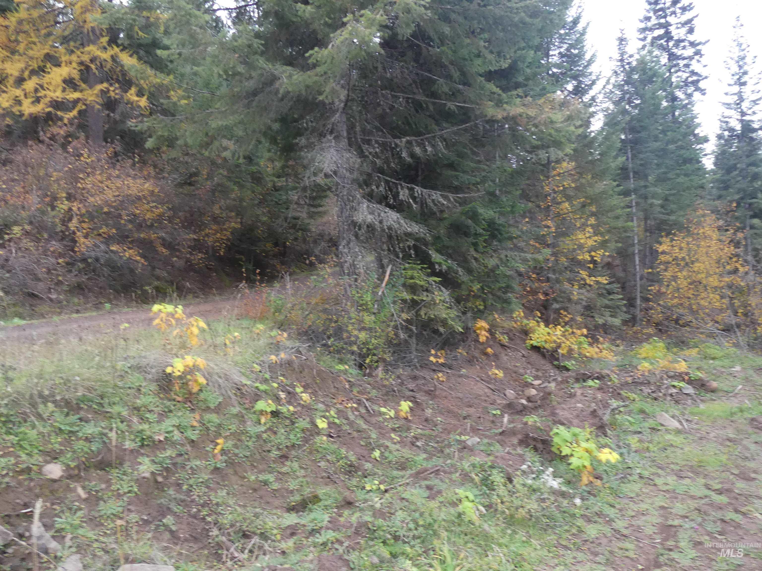 1684 Tranquil Lane (#1), Orofino, Idaho 83544, Land For Sale, Price $129,900, 98967943