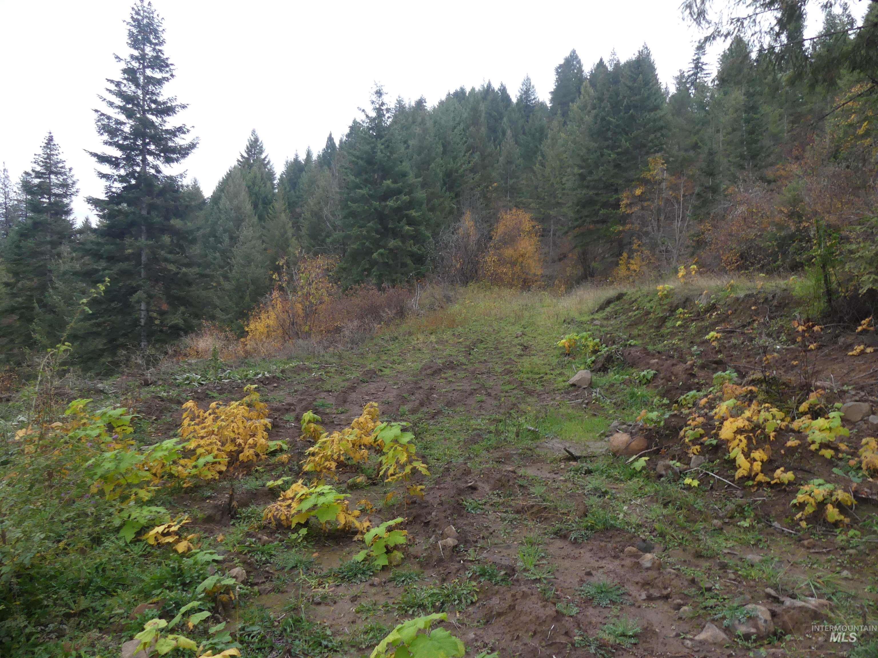 1684 Tranquil Lane (#1), Orofino, Idaho 83544, Land For Sale, Price $129,900, 98967943