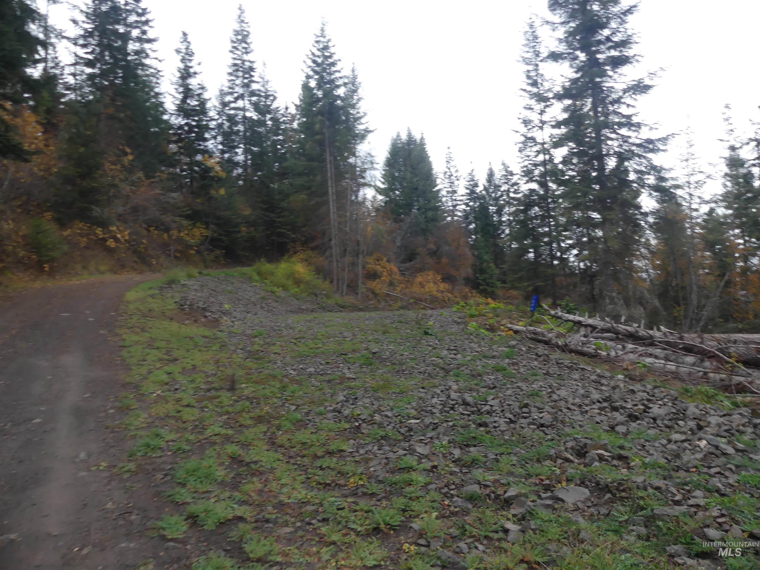 1684 Tranquil Lane (#1), Orofino, Idaho 83544, Land For Sale, Price $129,900, 98967943