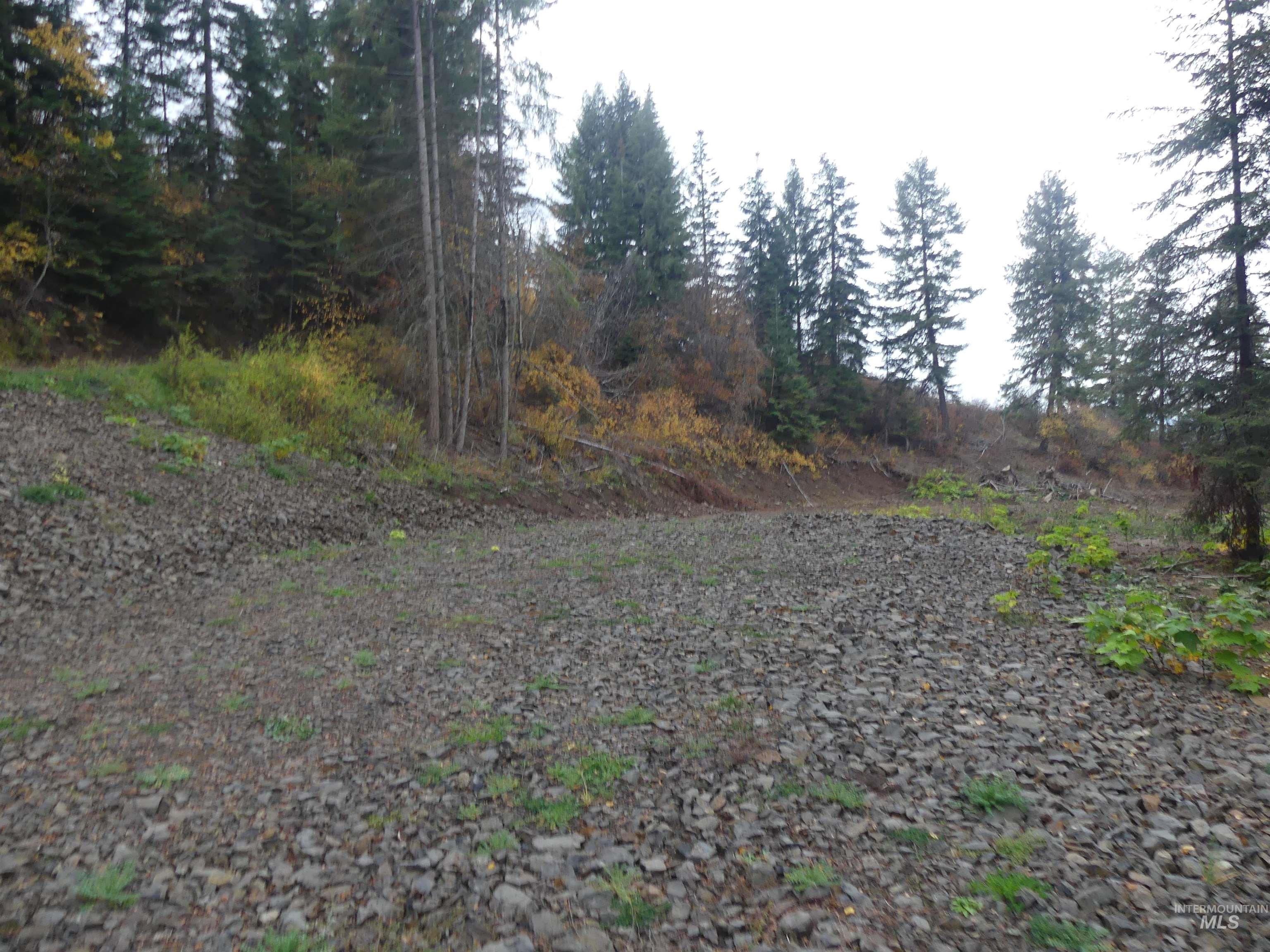 1684 Tranquil Lane (#1), Orofino, Idaho 83544, Land For Sale, Price $129,900, 98967943