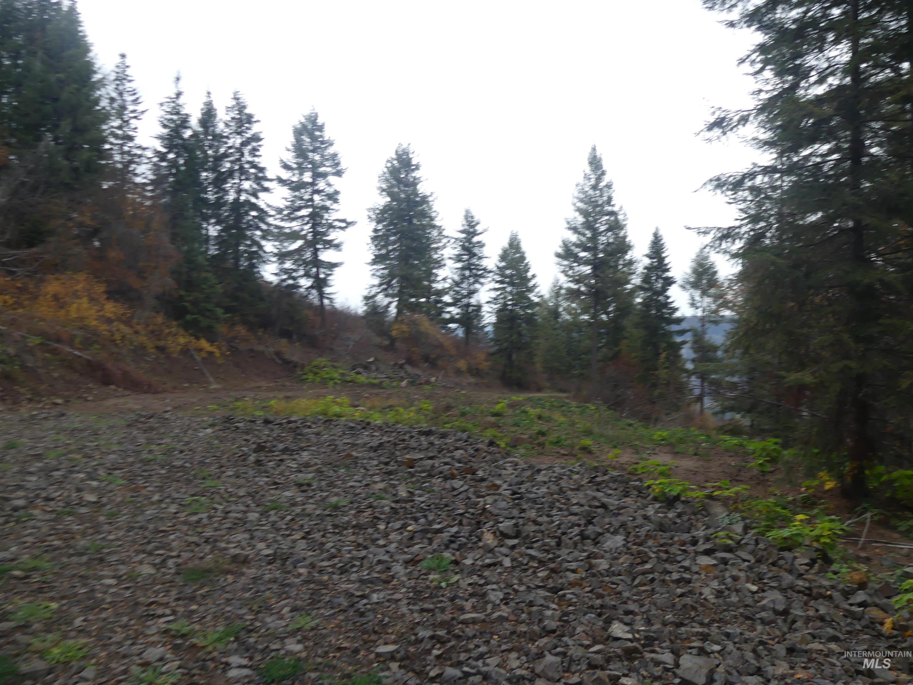 1684 Tranquil Lane (#1), Orofino, Idaho 83544, Land For Sale, Price $129,900, 98967943