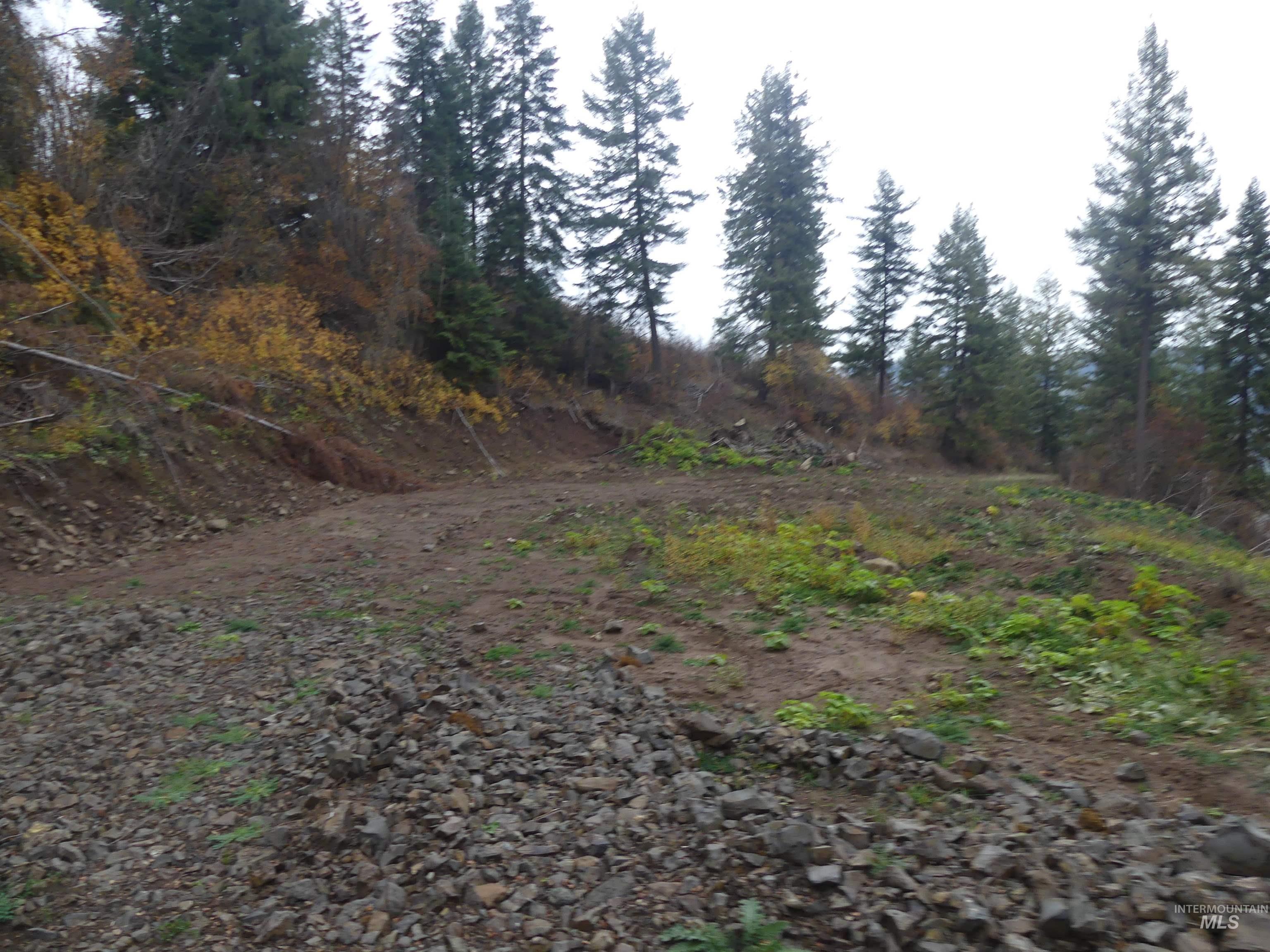 1684 Tranquil Lane (#1), Orofino, Idaho 83544, Land For Sale, Price $129,900, 98967943