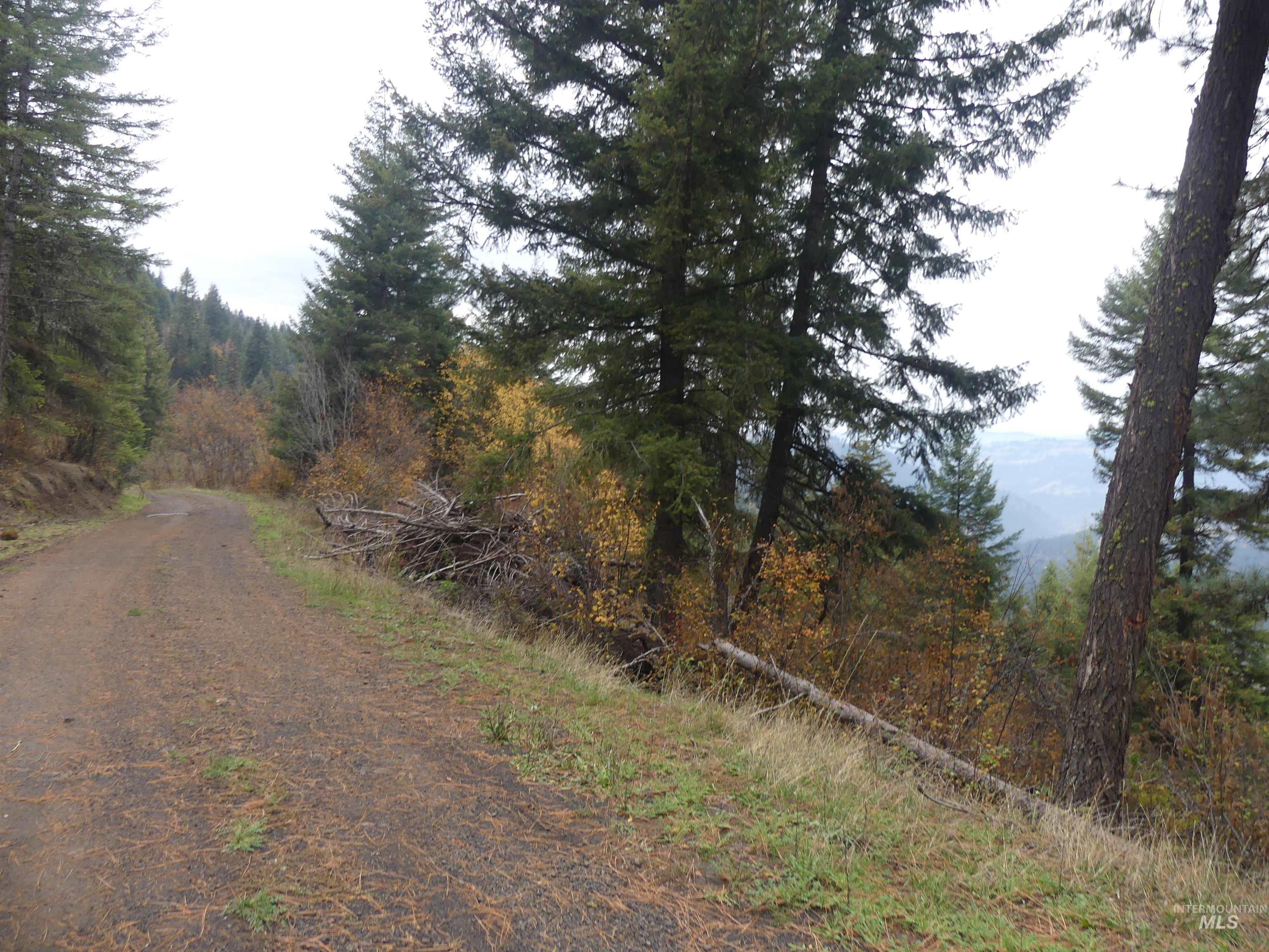 1684 Tranquil Lane (#1), Orofino, Idaho 83544, Land For Sale, Price $129,900, 98967943
