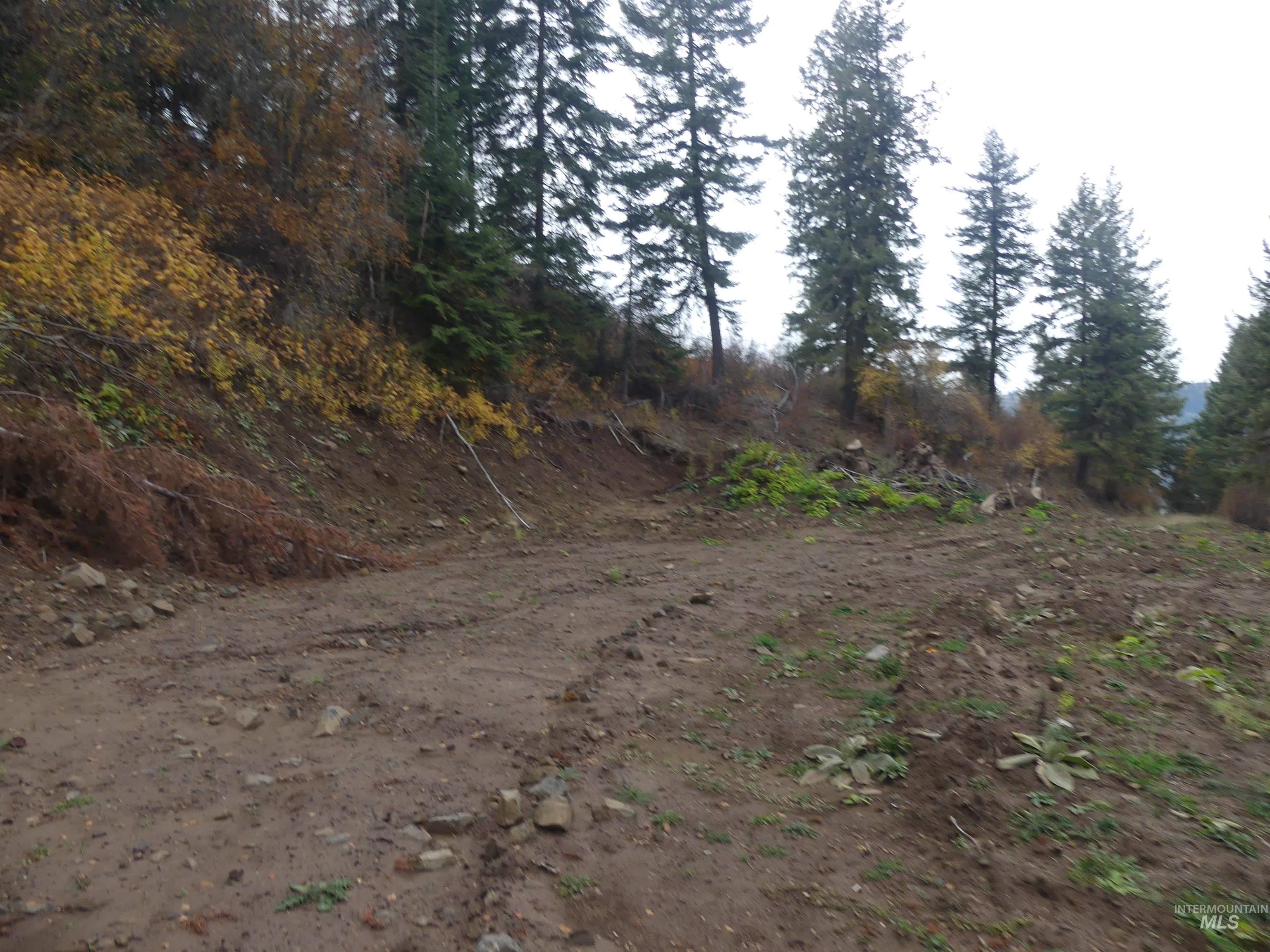 1684 Tranquil Lane (#1), Orofino, Idaho 83544, Land For Sale, Price $129,900, 98967943