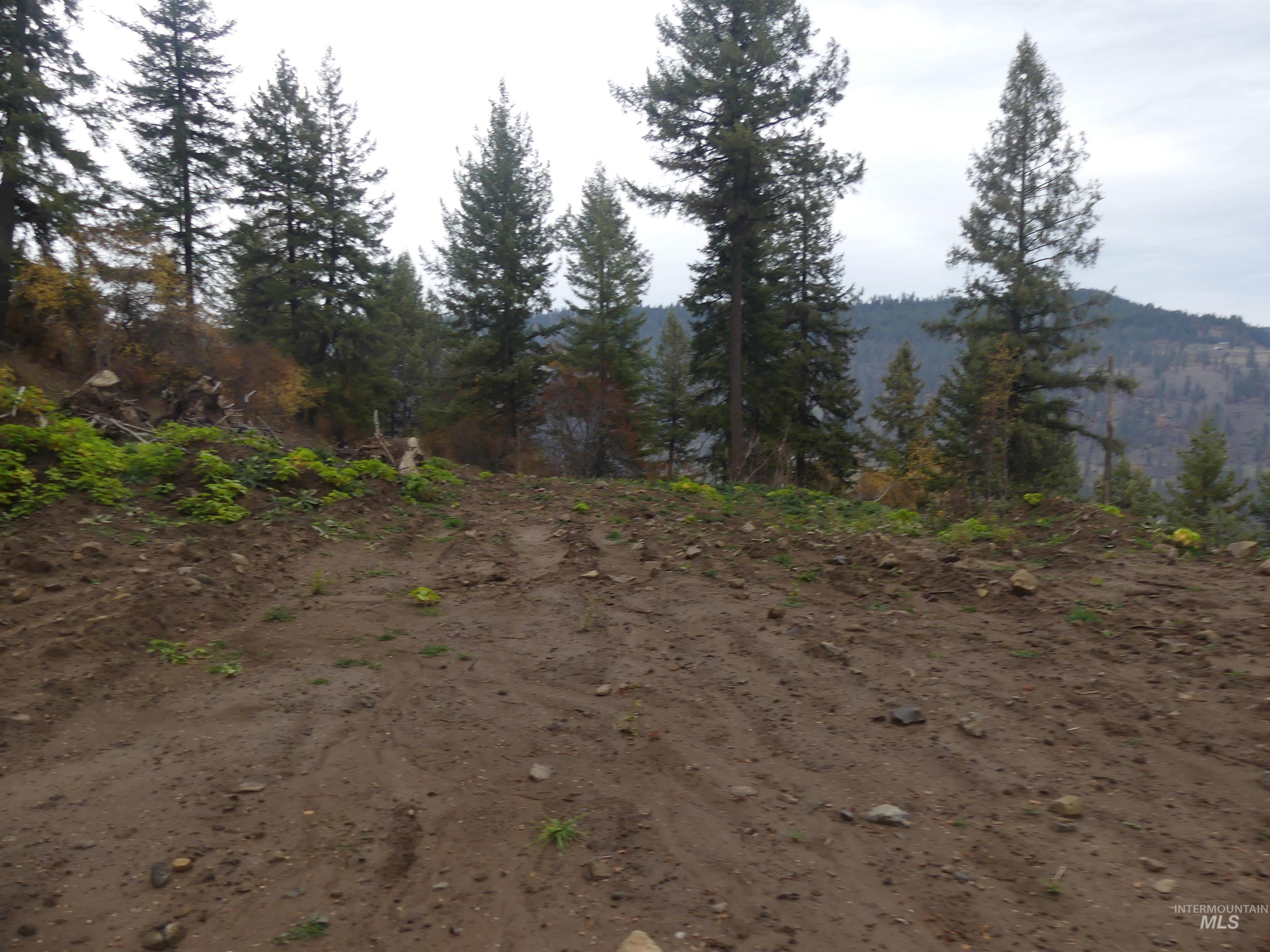 1684 Tranquil Lane (#1), Orofino, Idaho 83544, Land For Sale, Price $129,900, 98967943