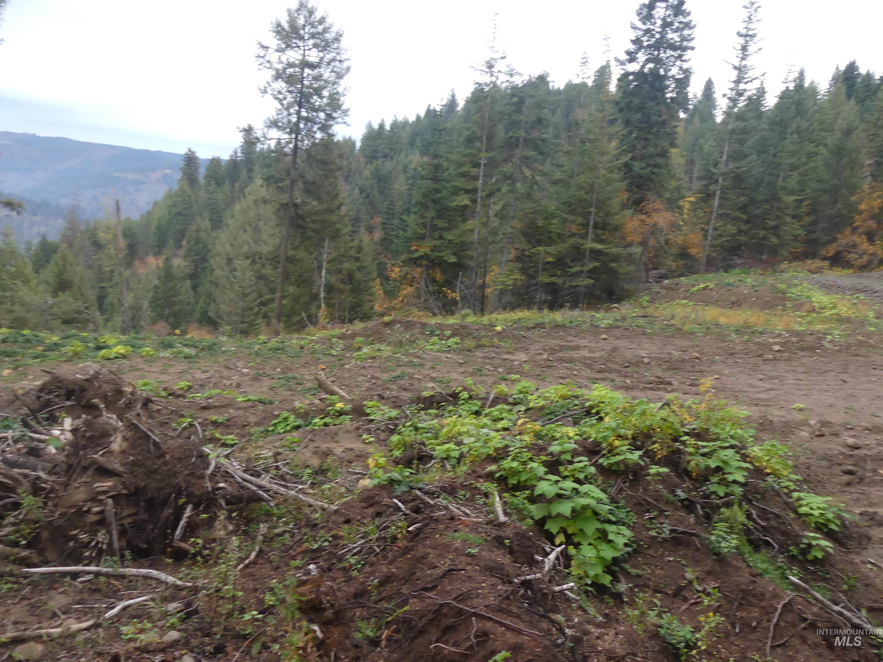 1684 Tranquil Lane (#1), Orofino, Idaho 83544, Land For Sale, Price $129,900, 98967943