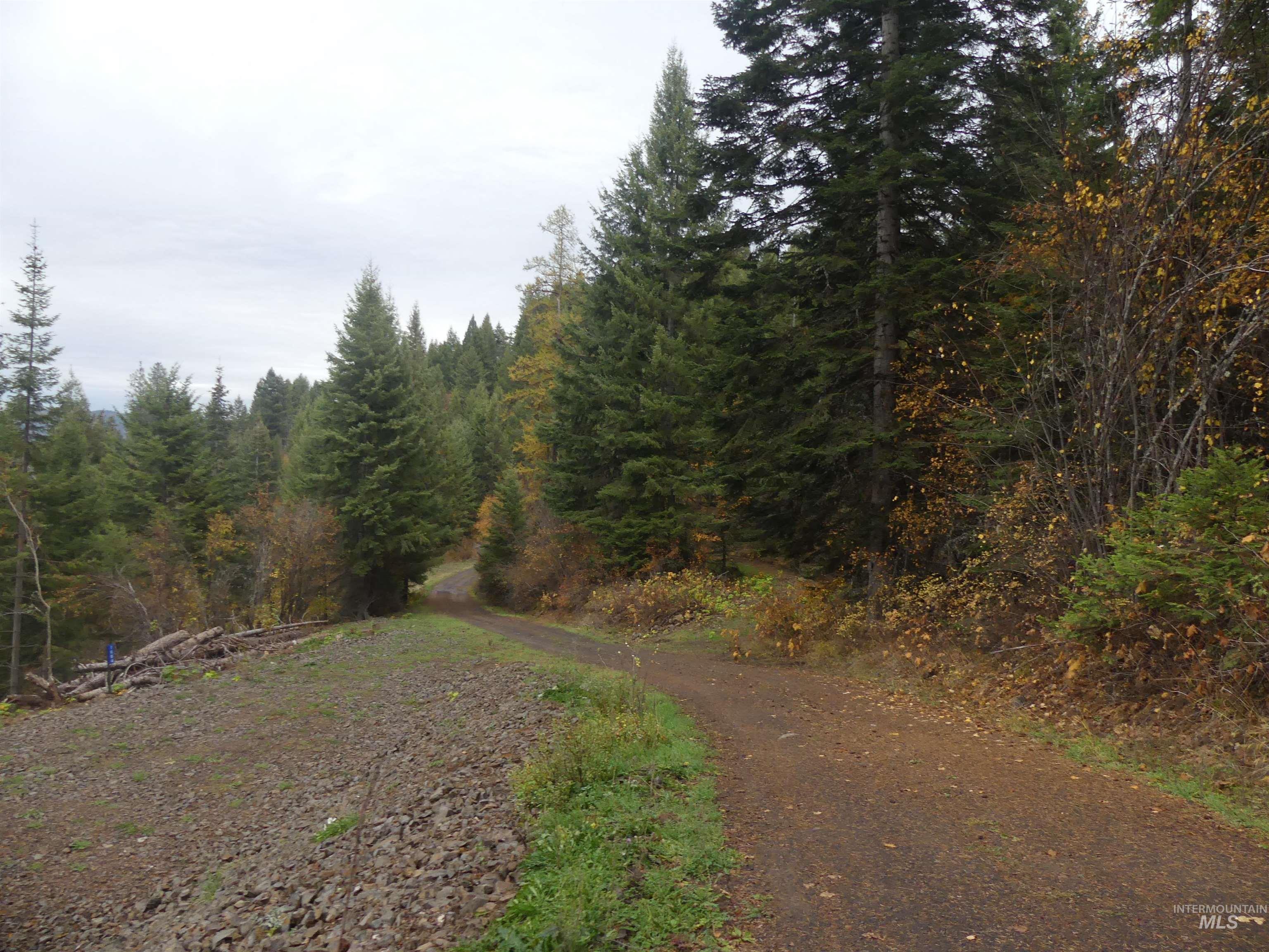 1684 Tranquil Lane (#1), Orofino, Idaho 83544, Land For Sale, Price $129,900, 98967943