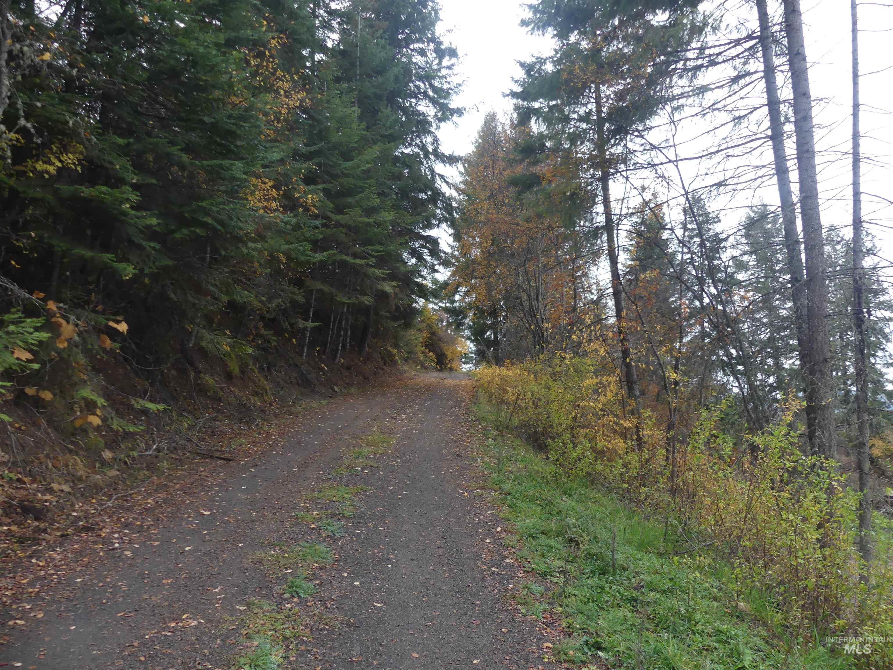 1684 Tranquil Lane (#1), Orofino, Idaho 83544, Land For Sale, Price $129,900, 98967943