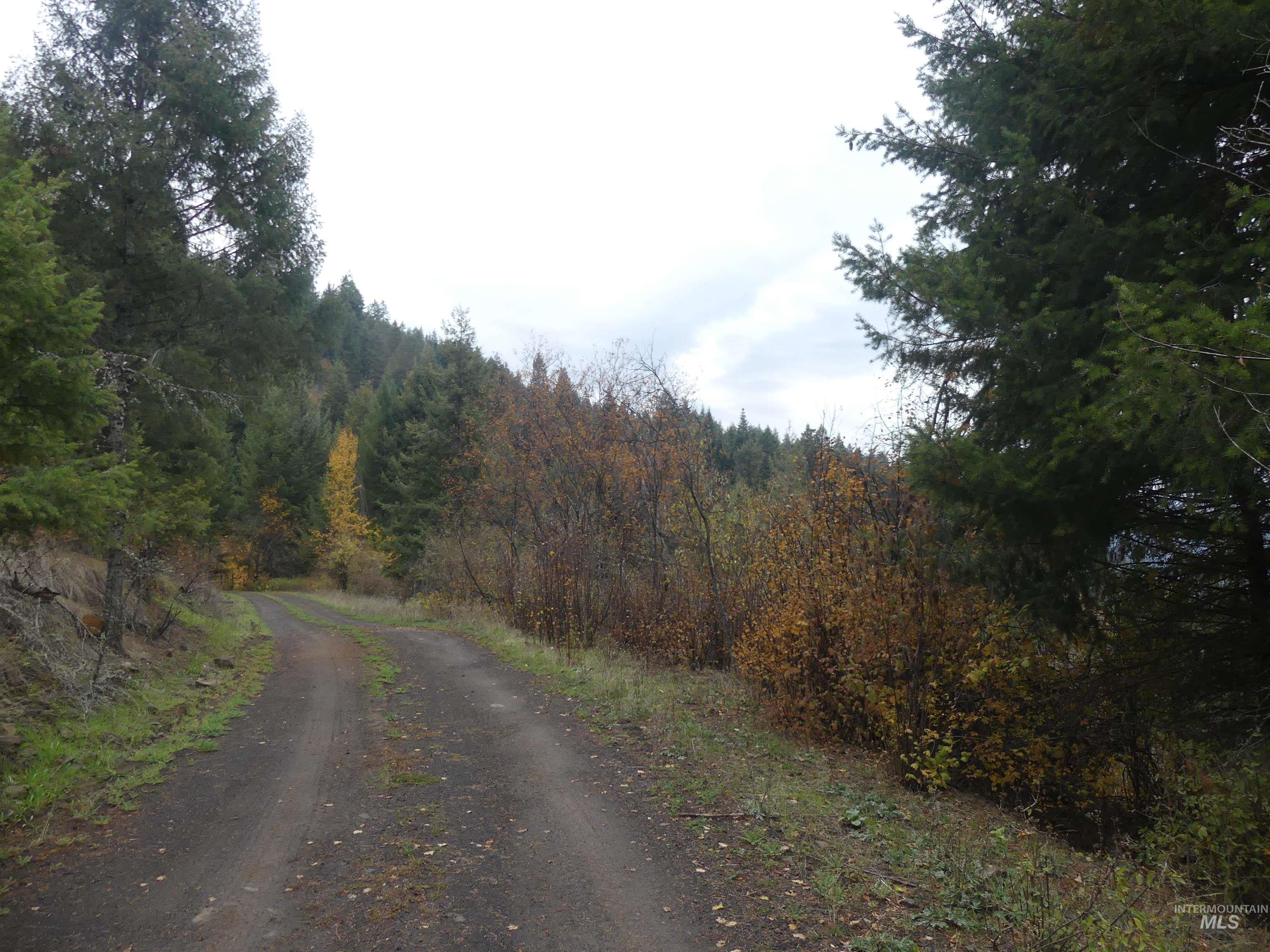 1684 Tranquil Lane (#1), Orofino, Idaho 83544, Land For Sale, Price $129,900, 98967943