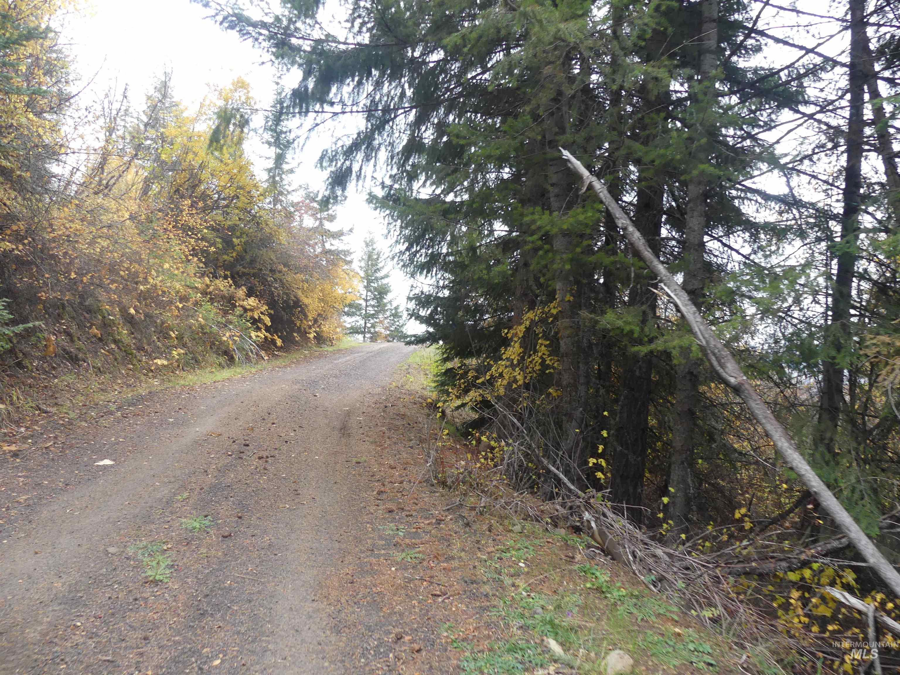 1684 Tranquil Lane (#1), Orofino, Idaho 83544, Land For Sale, Price $129,900, 98967943