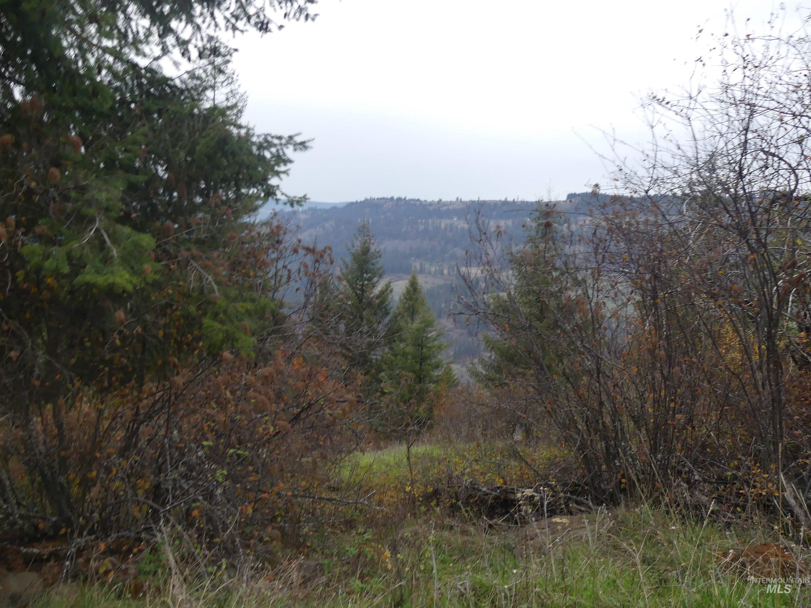 1684 Tranquil Lane (#1), Orofino, Idaho 83544, Land For Sale, Price $129,900, 98967943