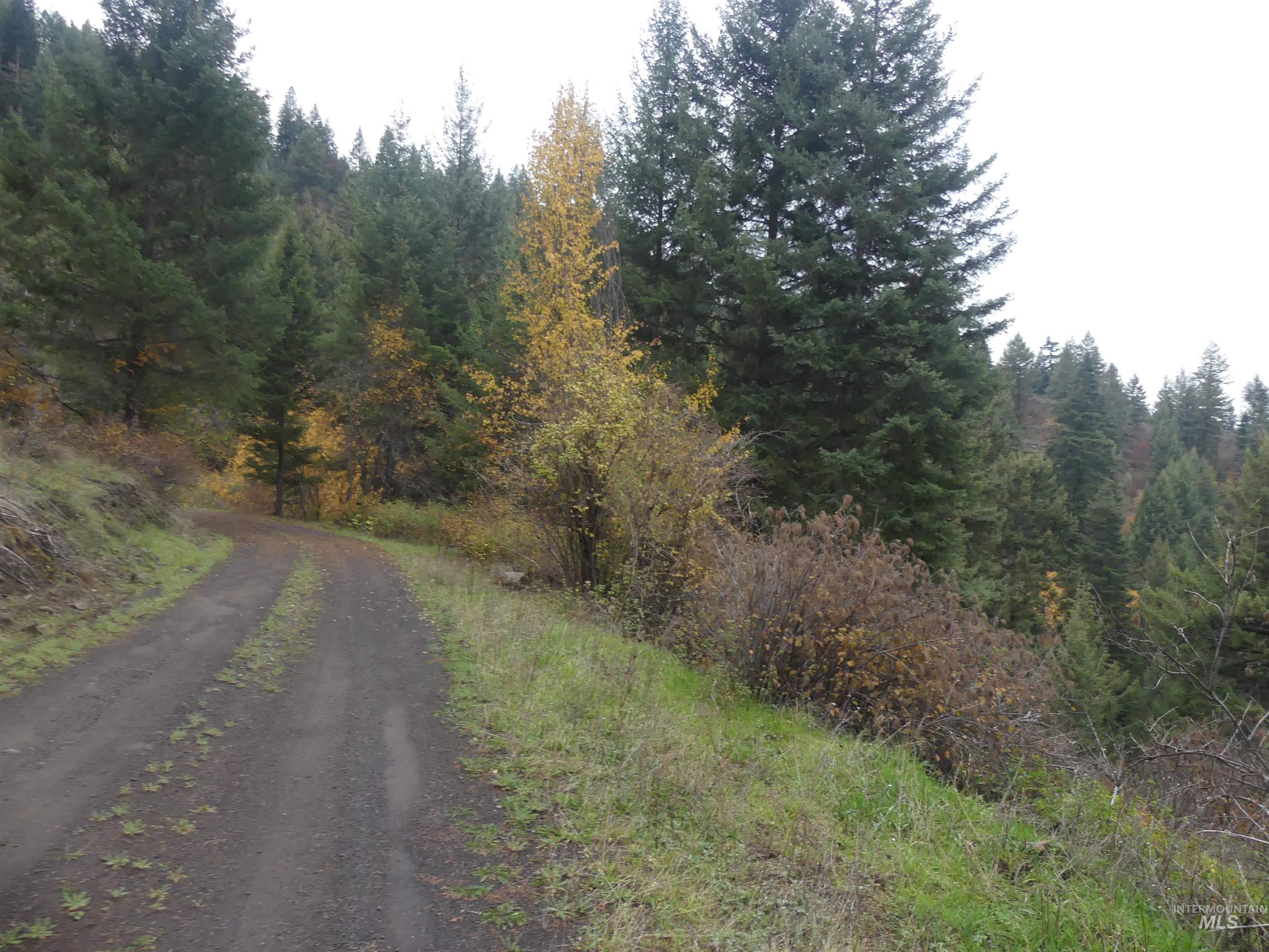 1684 Tranquil Lane (#1), Orofino, Idaho 83544, Land For Sale, Price $129,900, 98967943