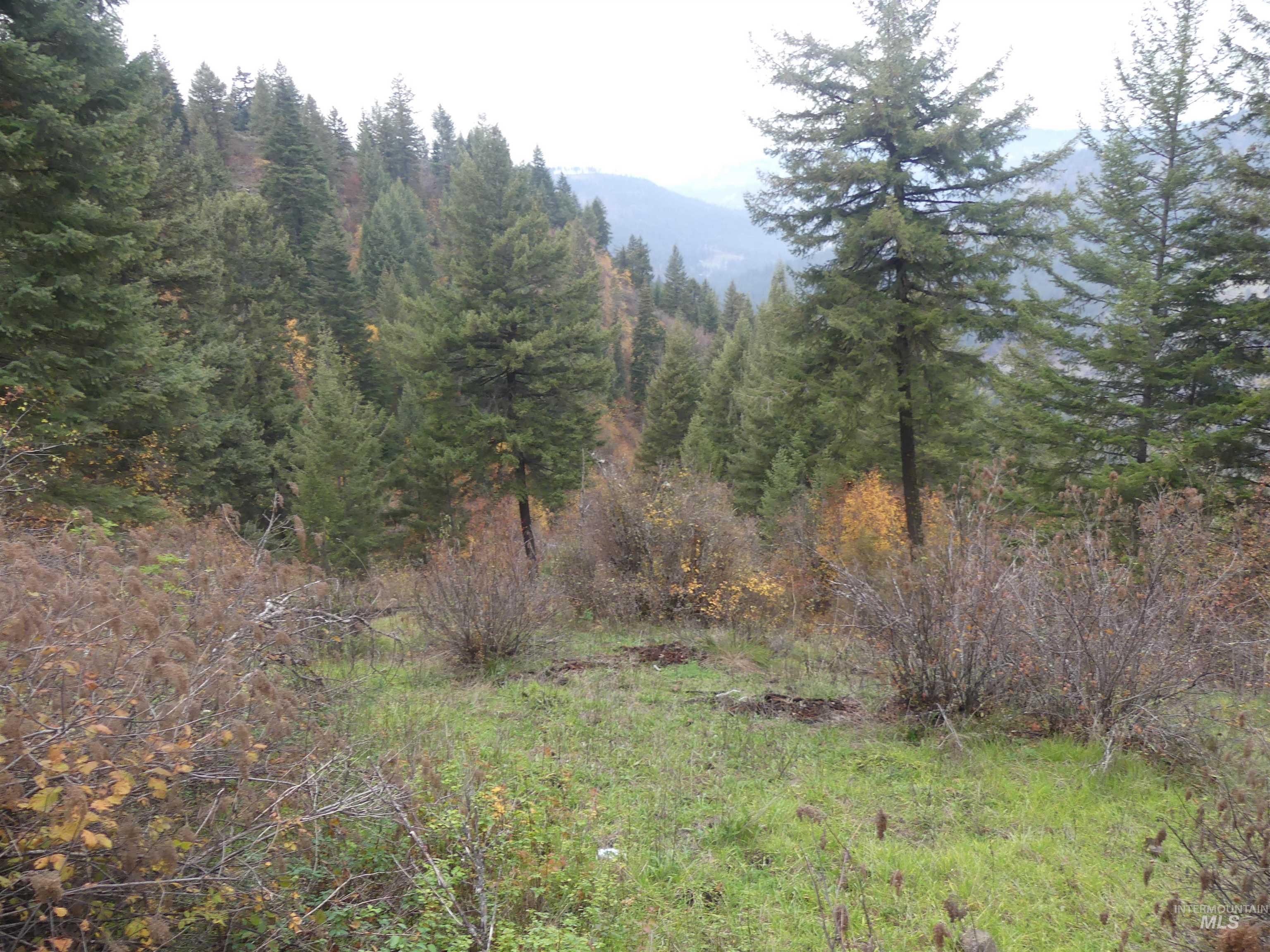 1684 Tranquil Lane (#1), Orofino, Idaho 83544, Land For Sale, Price $129,900, 98967943