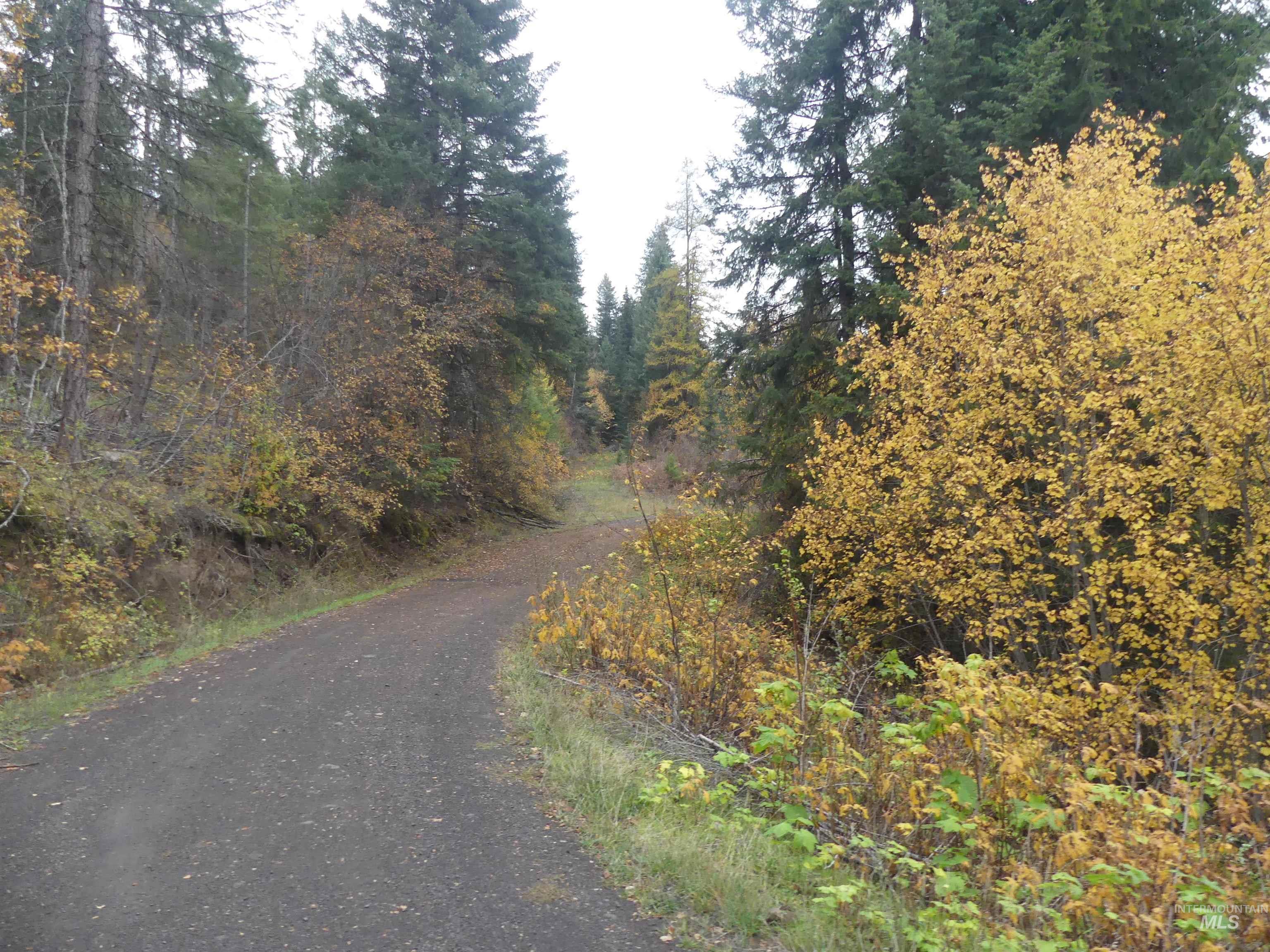 1684 Tranquil Lane (#1), Orofino, Idaho 83544, Land For Sale, Price $129,900, 98967943