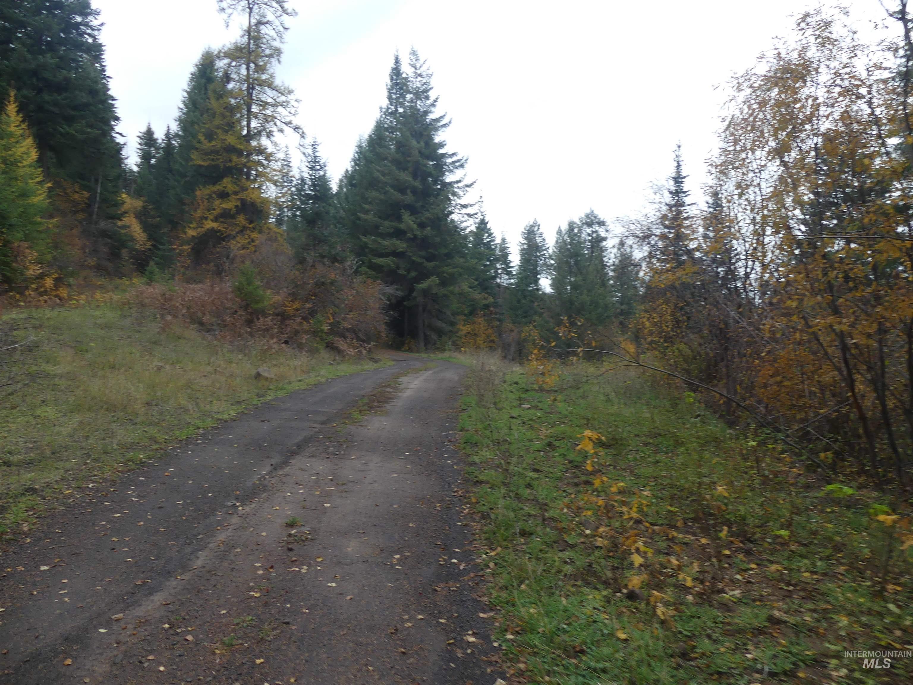 1684 Tranquil Lane (#1), Orofino, Idaho 83544, Land For Sale, Price $129,900, 98967943