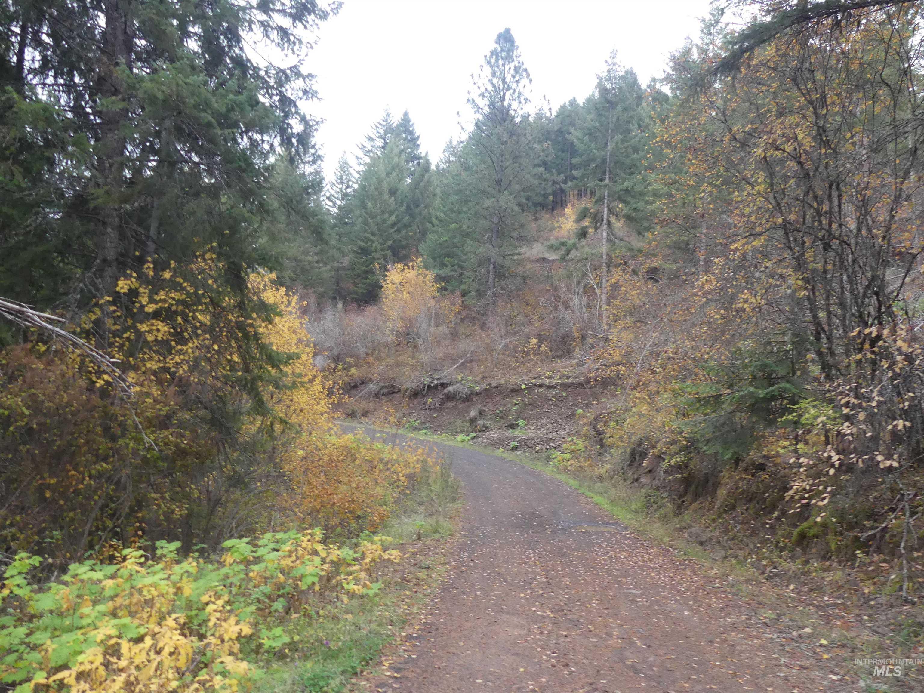 1684 Tranquil Lane (#1), Orofino, Idaho 83544, Land For Sale, Price $129,900, 98967943