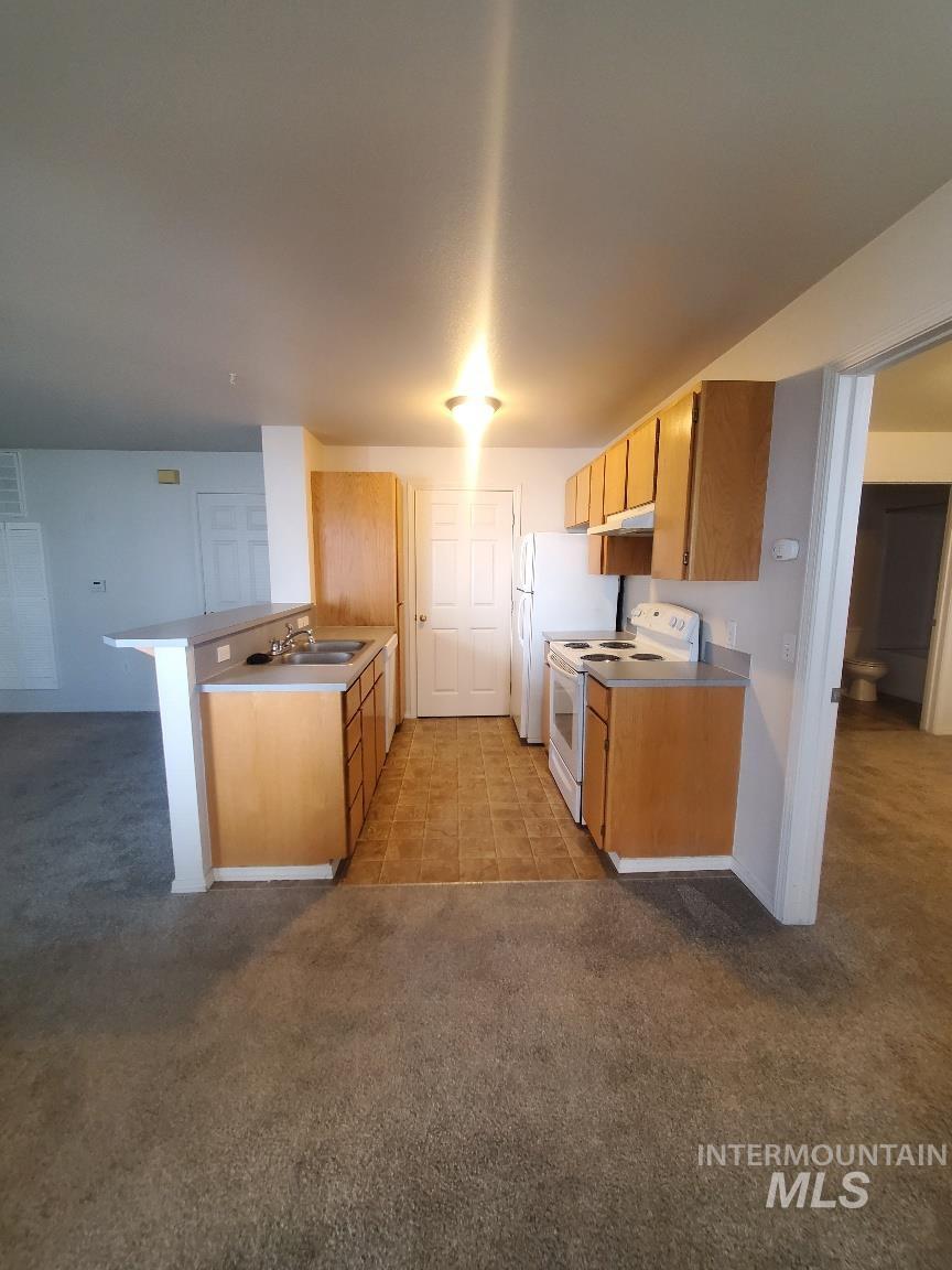 Kitchen with a peninsula, white range with electric stovetop, light colored carpet, light countertops, and under cabinet range hood