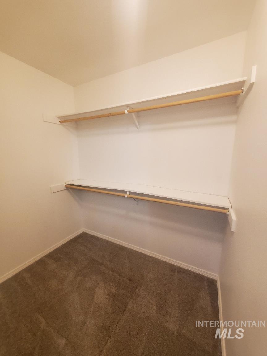 Spacious closet featuring dark carpet