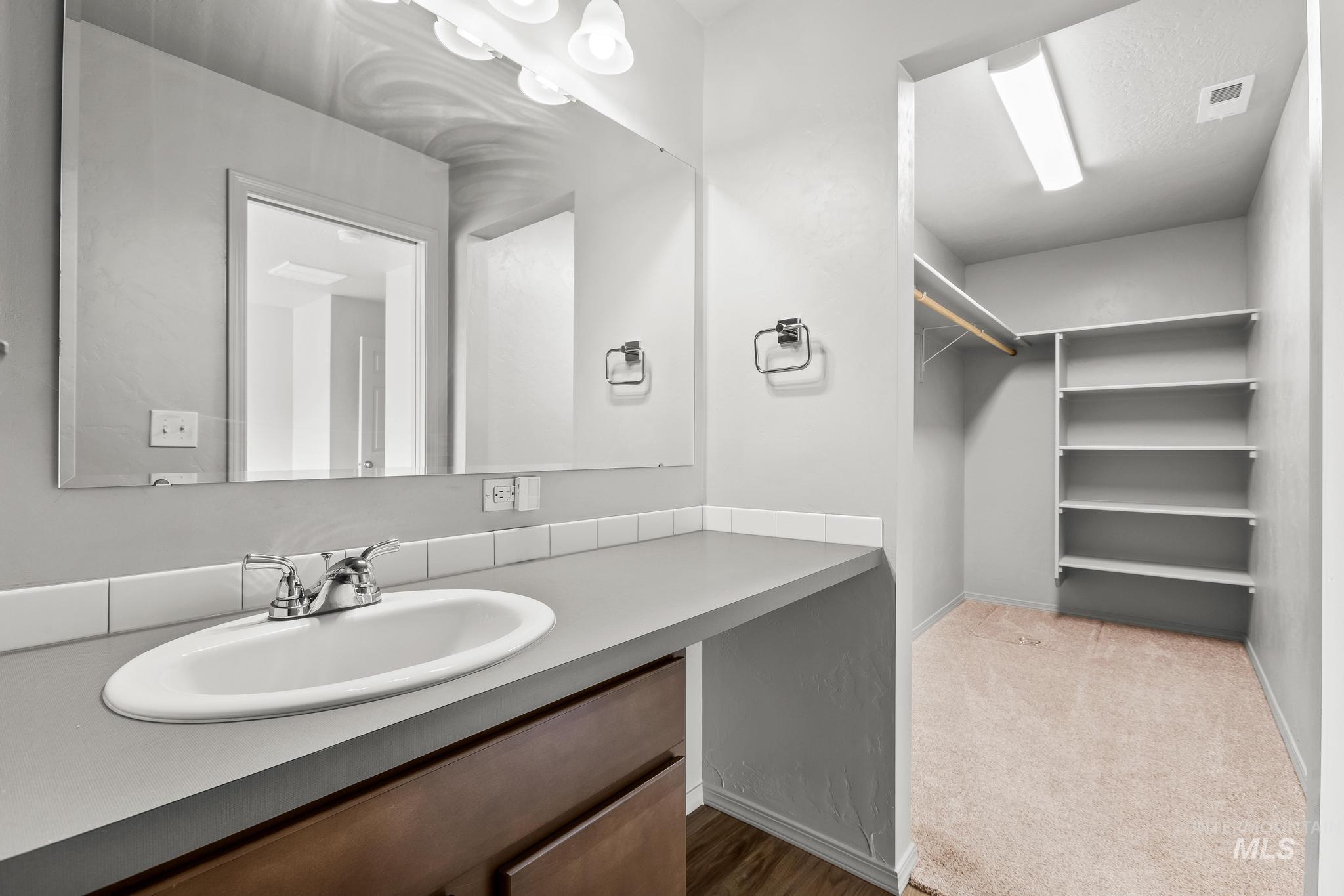 Bathroom featuring vanity, light carpet, and a spacious closet