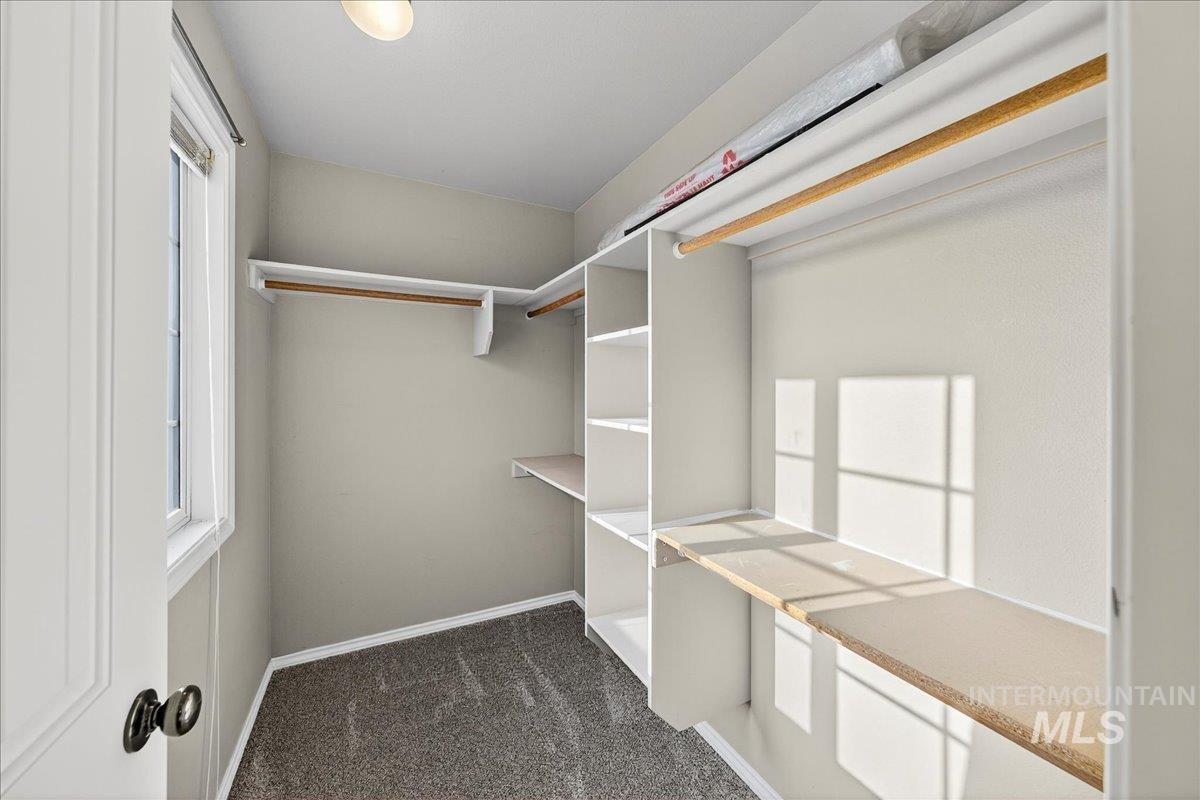 Spacious closet featuring dark colored carpet