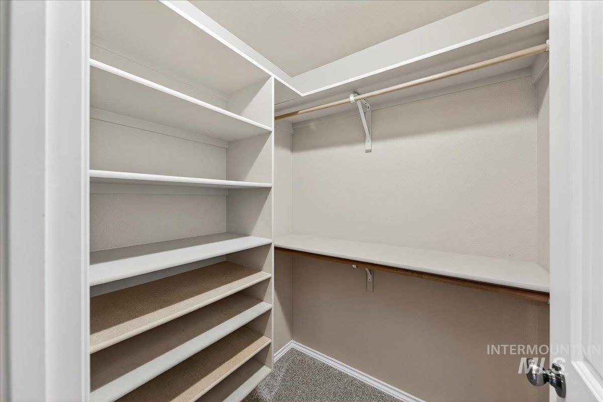 Spacious closet featuring light carpet