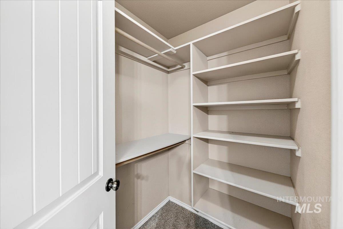 Walk in closet featuring carpet