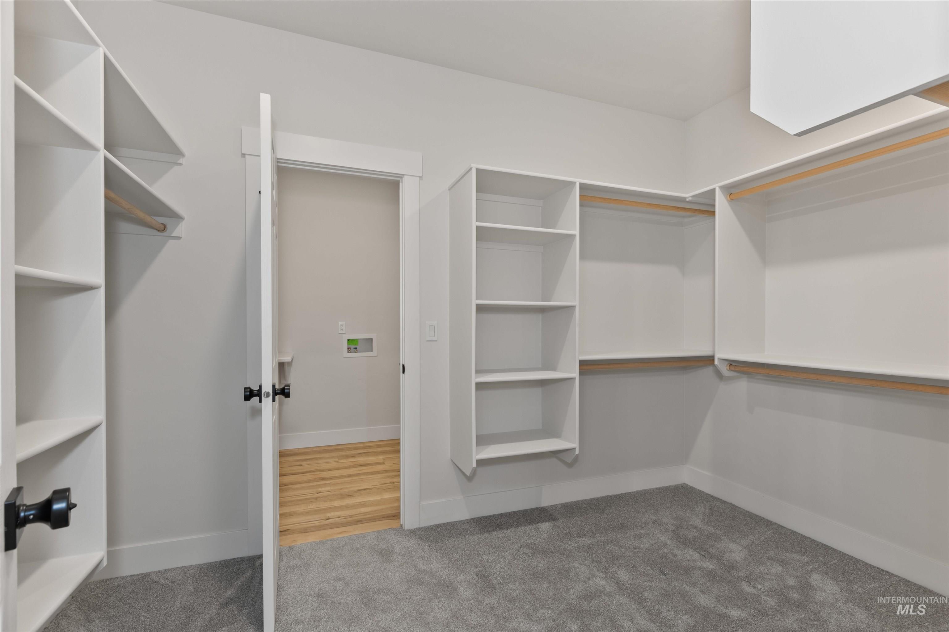 Spacious closet featuring carpet flooring