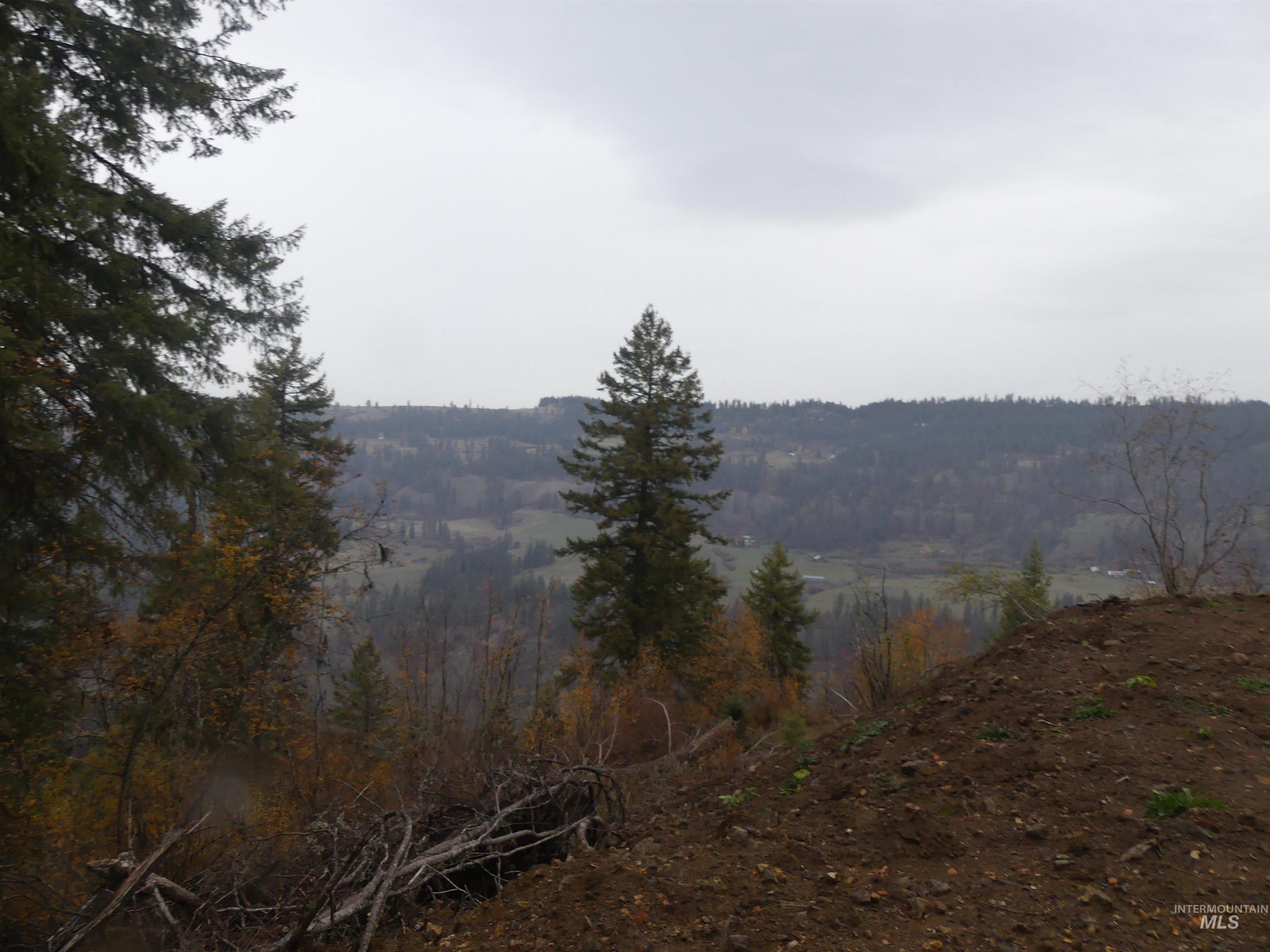 1762 Tranquil Lane (#4), Orofino, Idaho 83544, Land For Sale, Price $124,900, 98968003