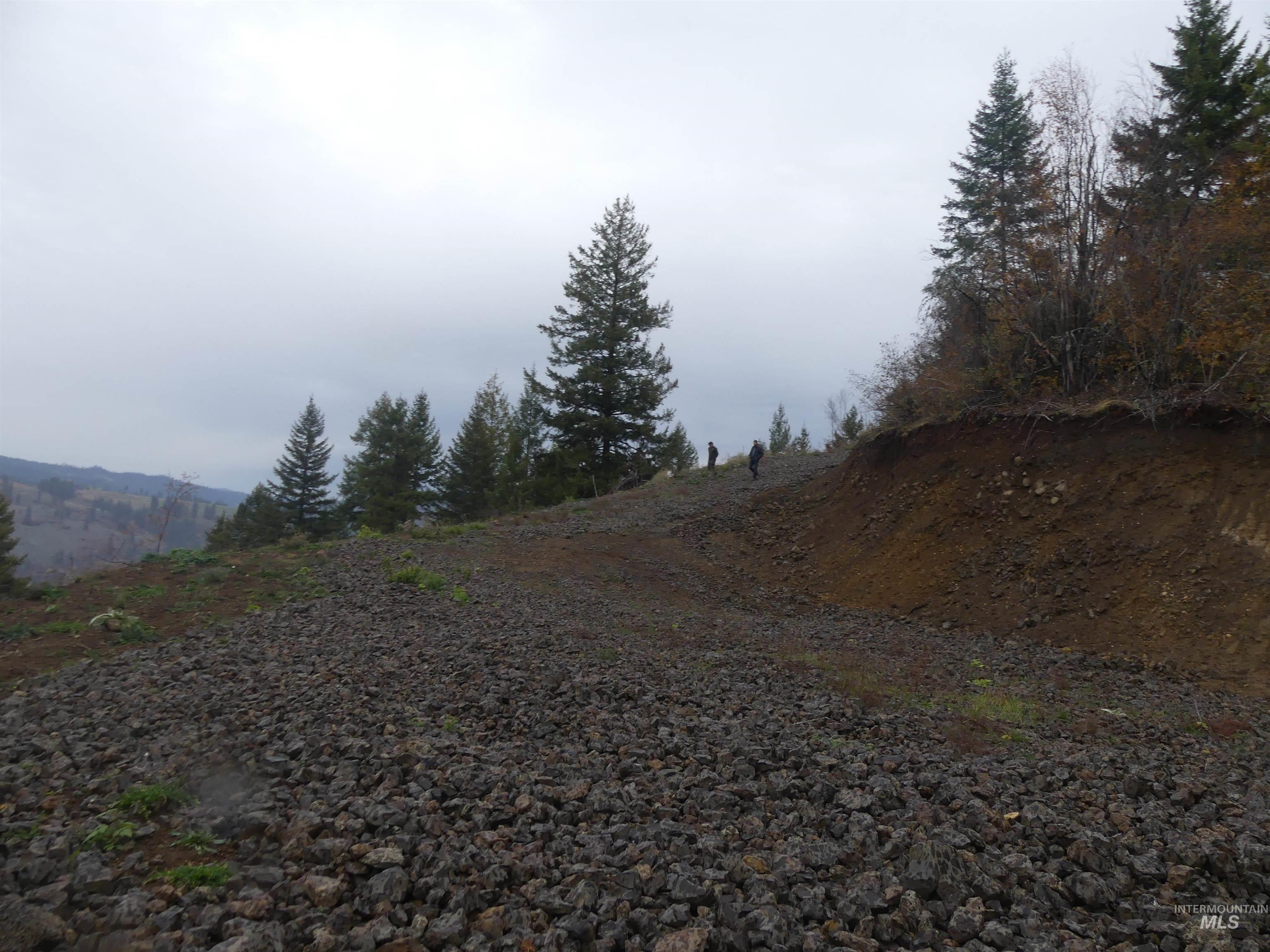 1762 Tranquil Lane (#4), Orofino, Idaho 83544, Land For Sale, Price $124,900, 98968003