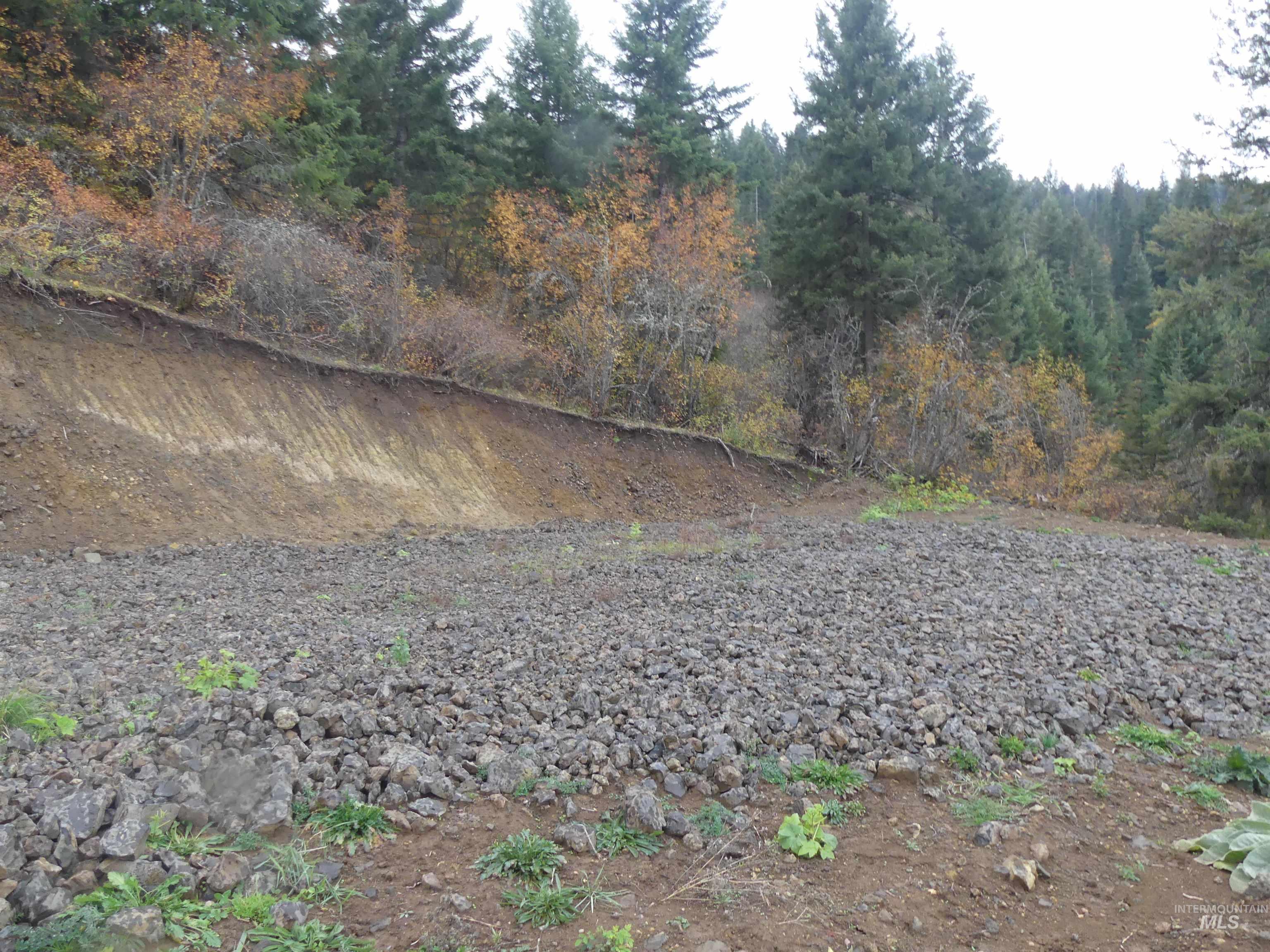 1762 Tranquil Lane (#4), Orofino, Idaho 83544, Land For Sale, Price $124,900, 98968003