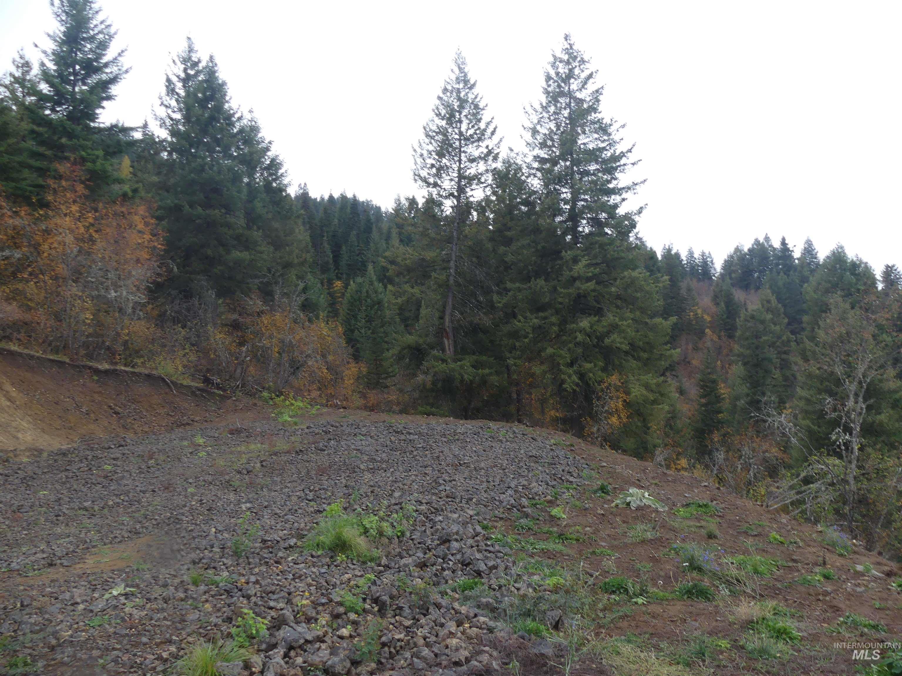 1762 Tranquil Lane (#4), Orofino, Idaho 83544, Land For Sale, Price $124,900, 98968003