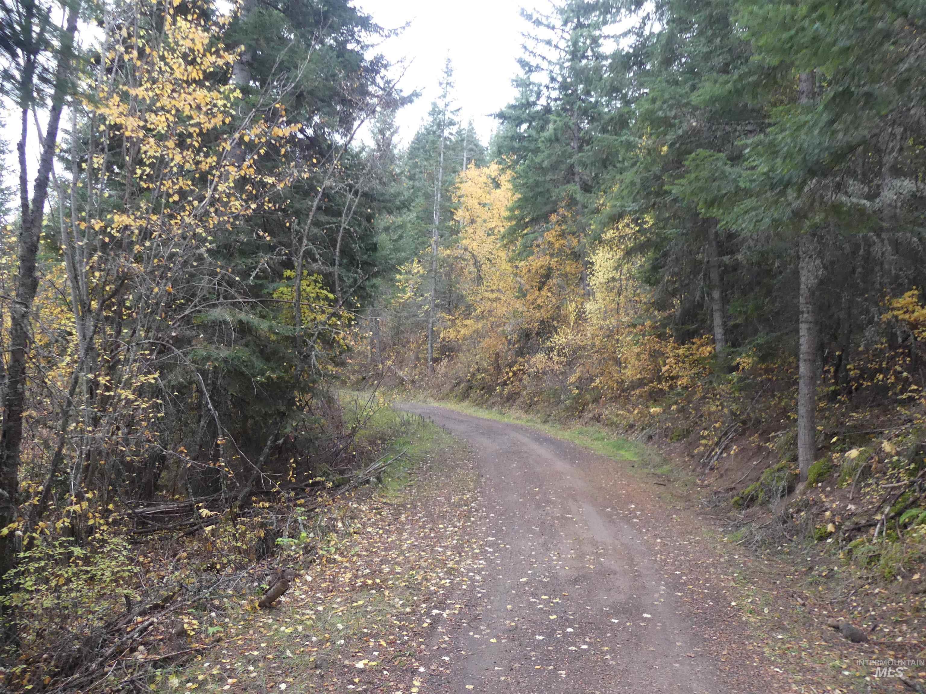 1762 Tranquil Lane (#4), Orofino, Idaho 83544, Land For Sale, Price $124,900, 98968003