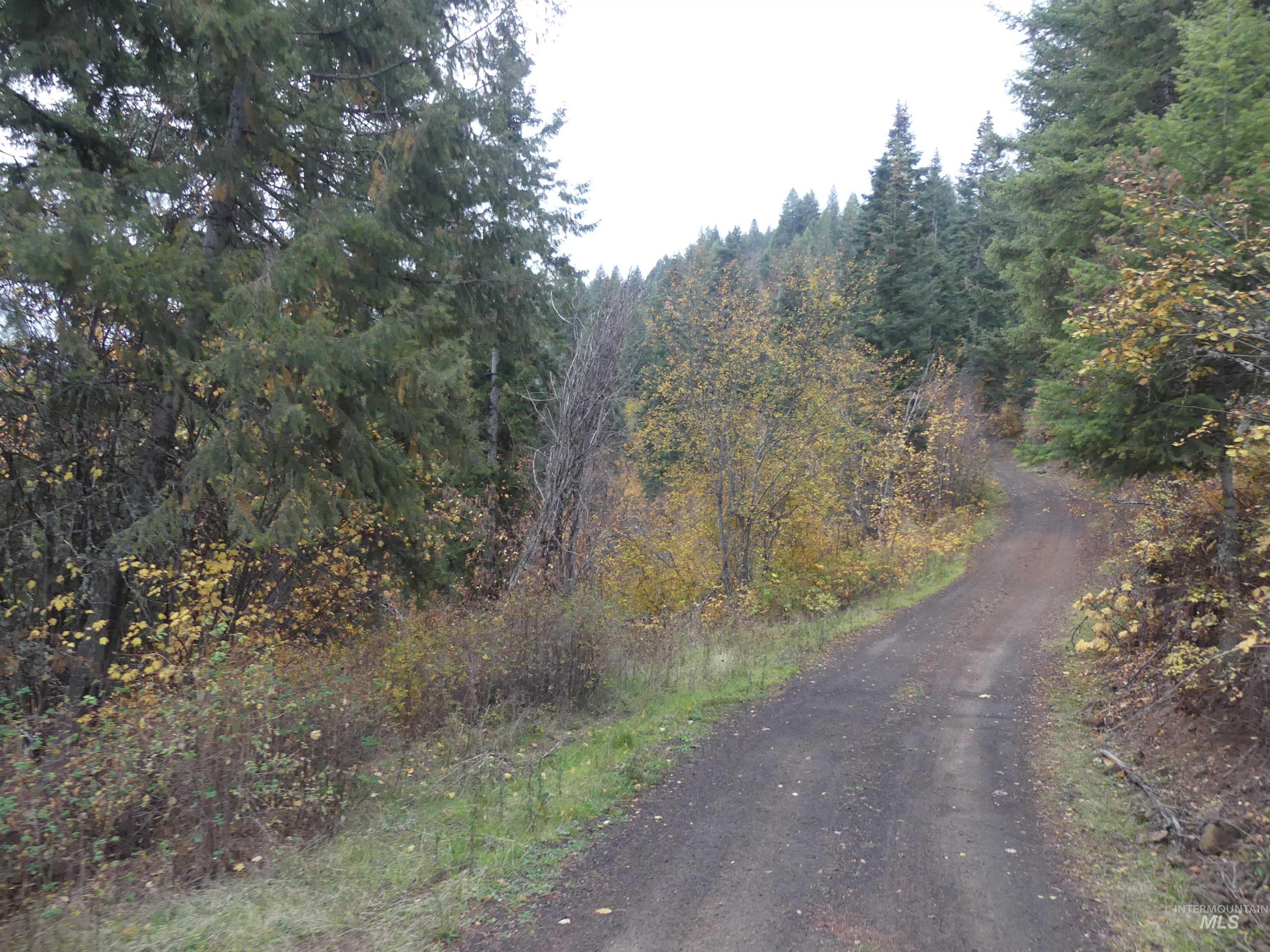 1762 Tranquil Lane (#4), Orofino, Idaho 83544, Land For Sale, Price $124,900, 98968003