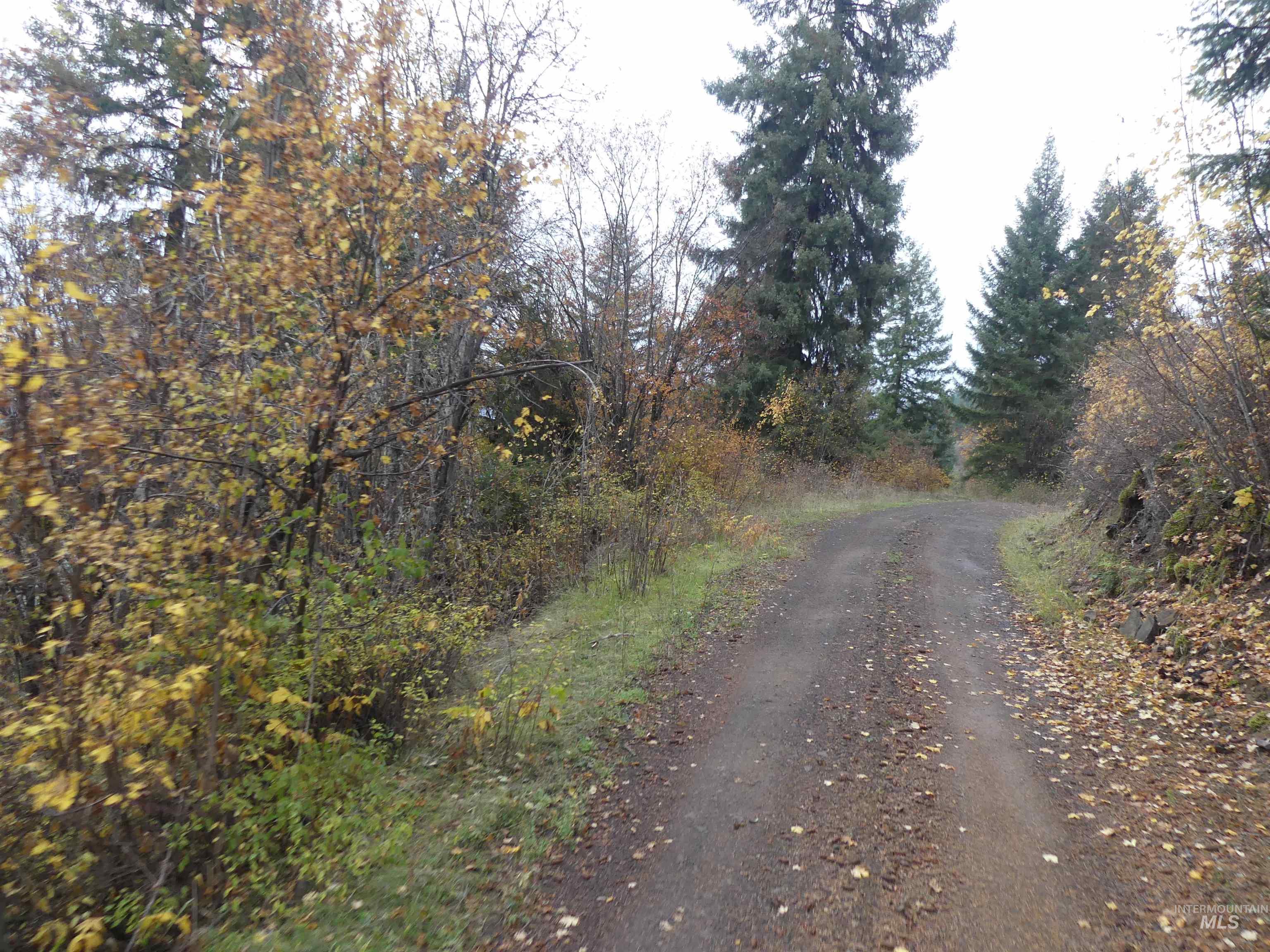 1762 Tranquil Lane (#4), Orofino, Idaho 83544, Land For Sale, Price $124,900, 98968003