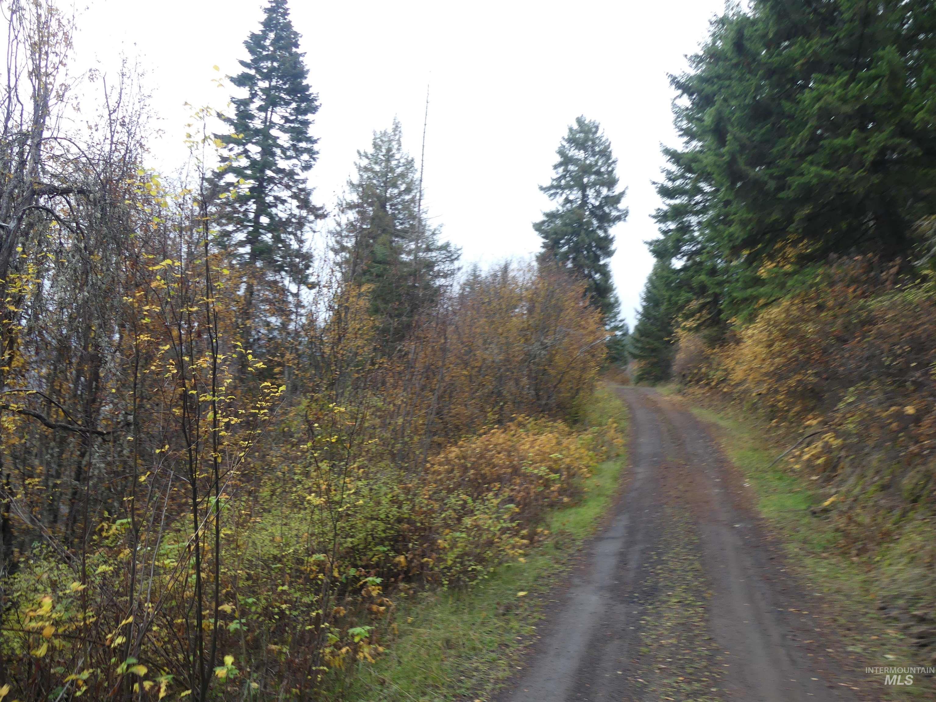 1762 Tranquil Lane (#4), Orofino, Idaho 83544, Land For Sale, Price $124,900, 98968003