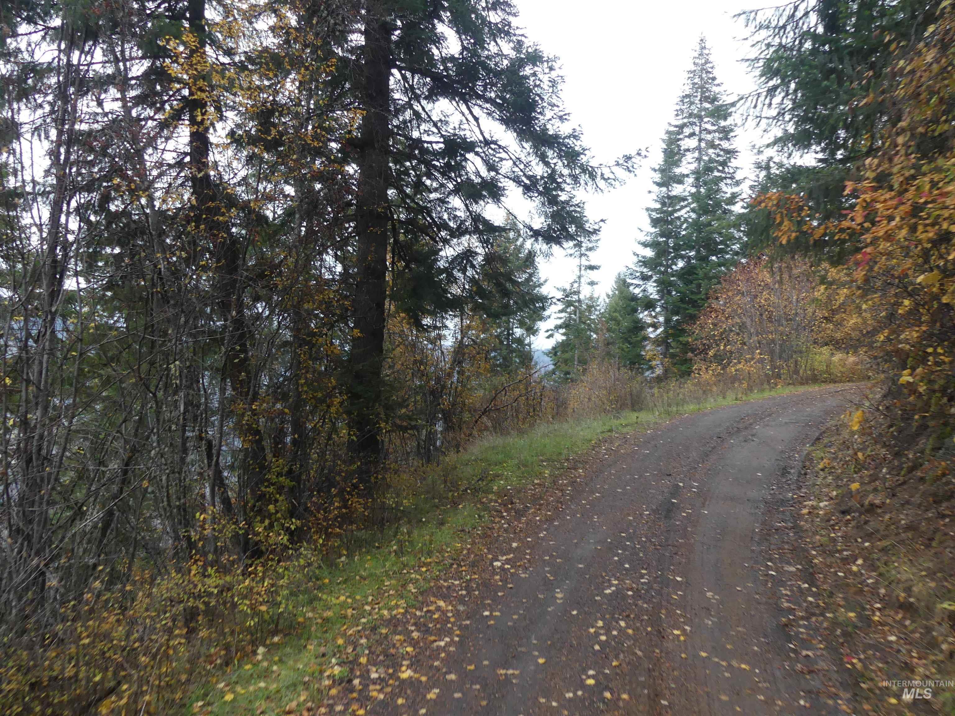 1762 Tranquil Lane (#4), Orofino, Idaho 83544, Land For Sale, Price $124,900, 98968003