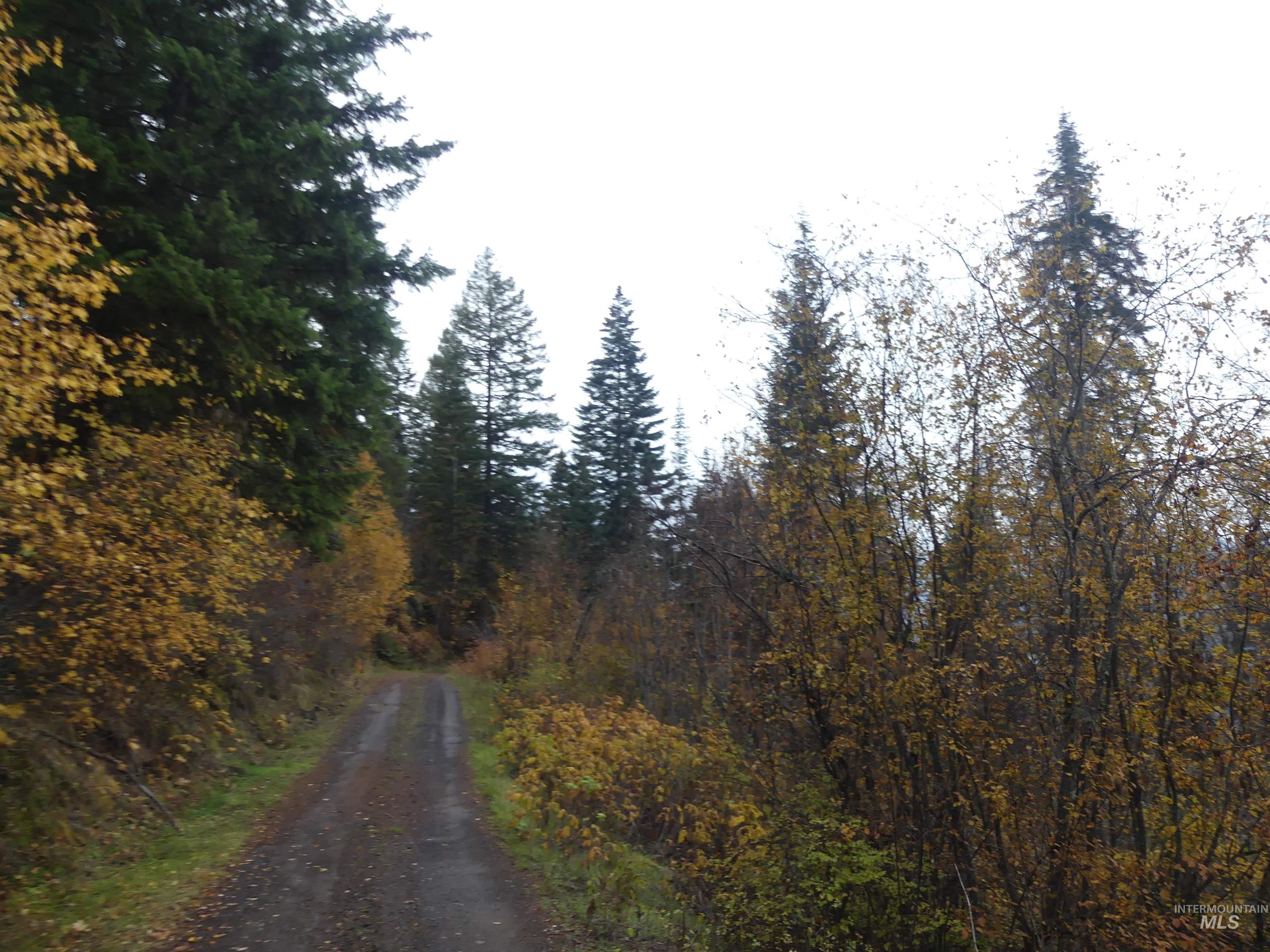 1762 Tranquil Lane (#4), Orofino, Idaho 83544, Land For Sale, Price $124,900, 98968003