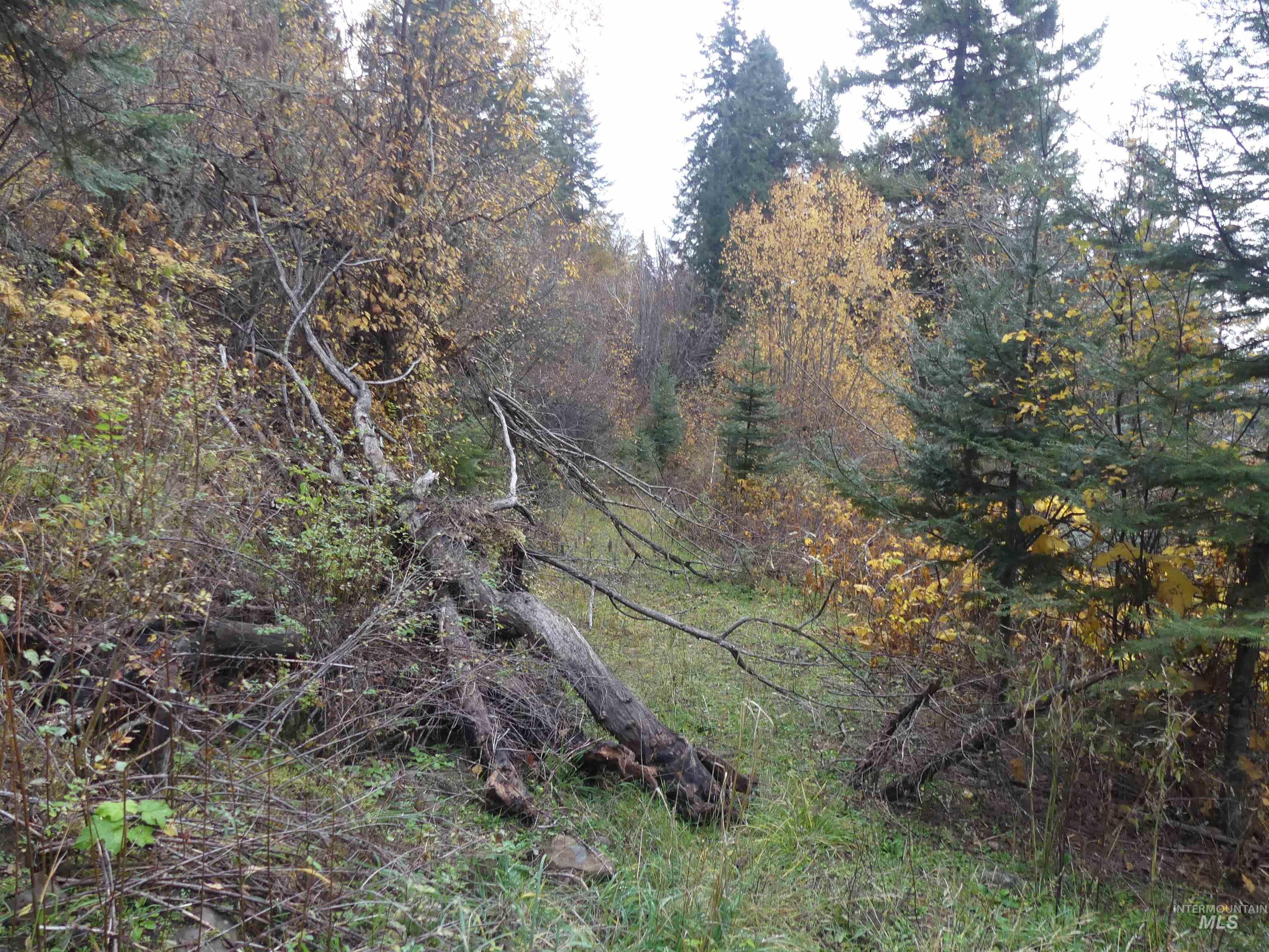 1762 Tranquil Lane (#4), Orofino, Idaho 83544, Land For Sale, Price $124,900, 98968003