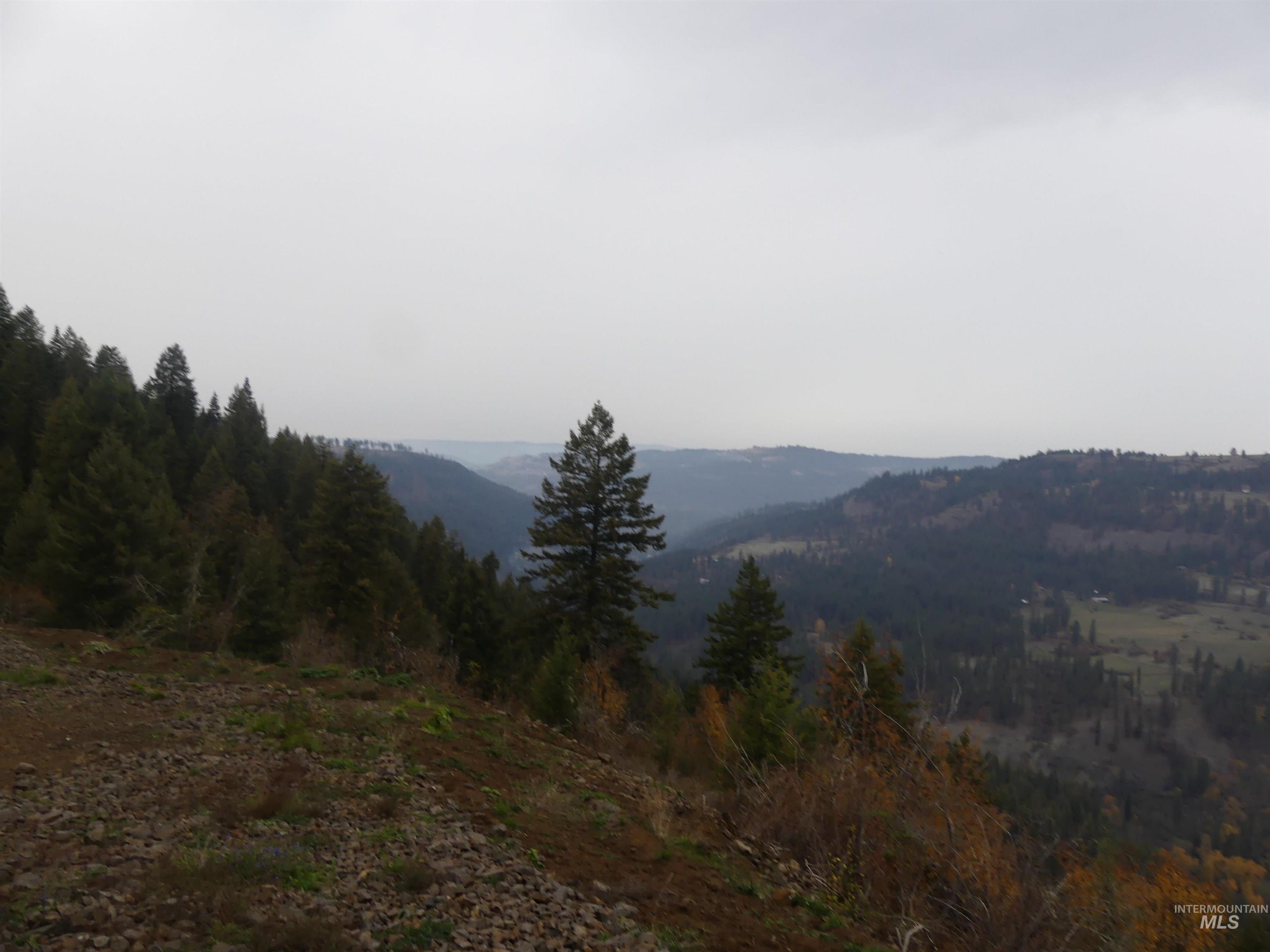 1762 Tranquil Lane (#4), Orofino, Idaho 83544, Land For Sale, Price $124,900, 98968003