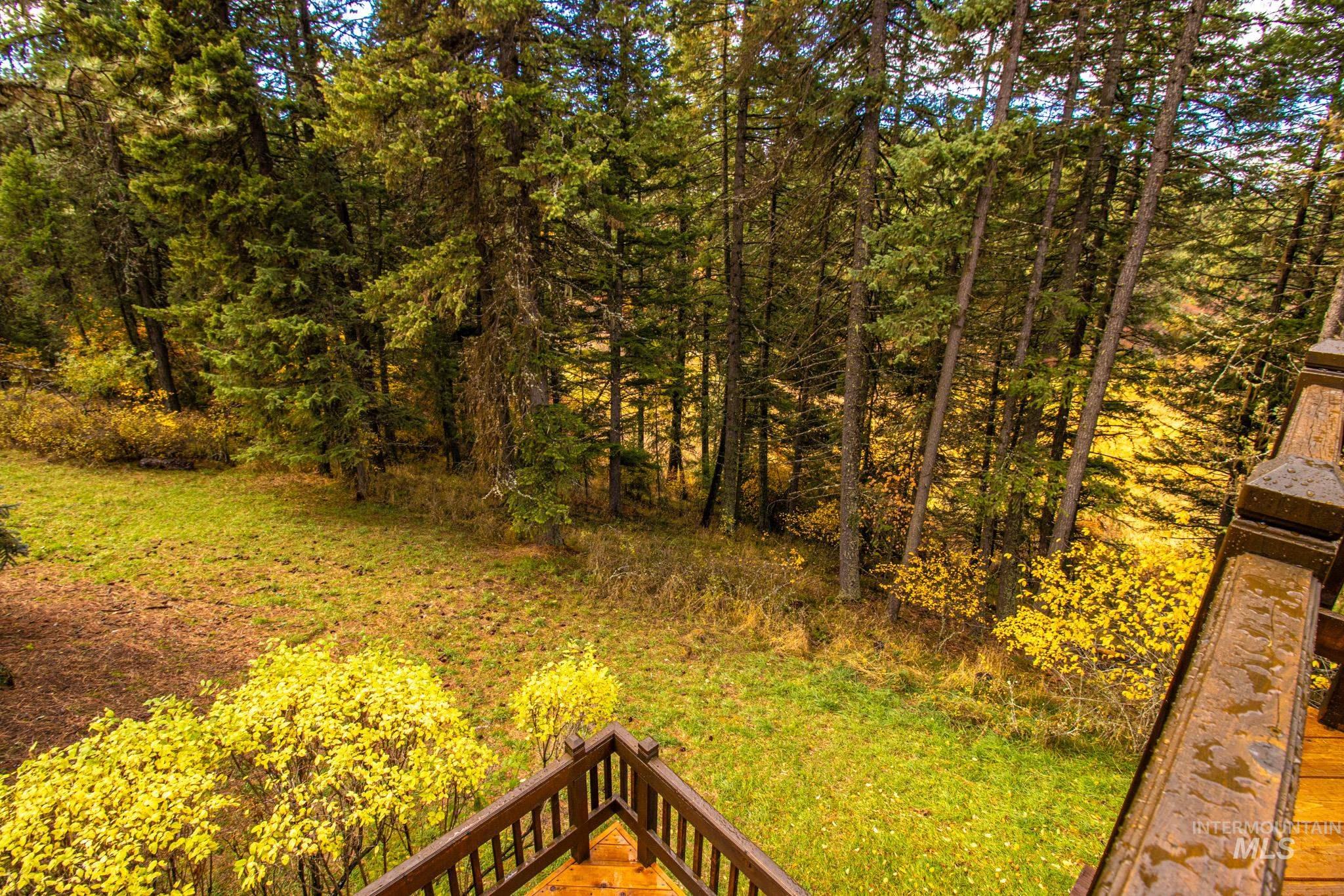 View of grassy yard featuring a wooded view