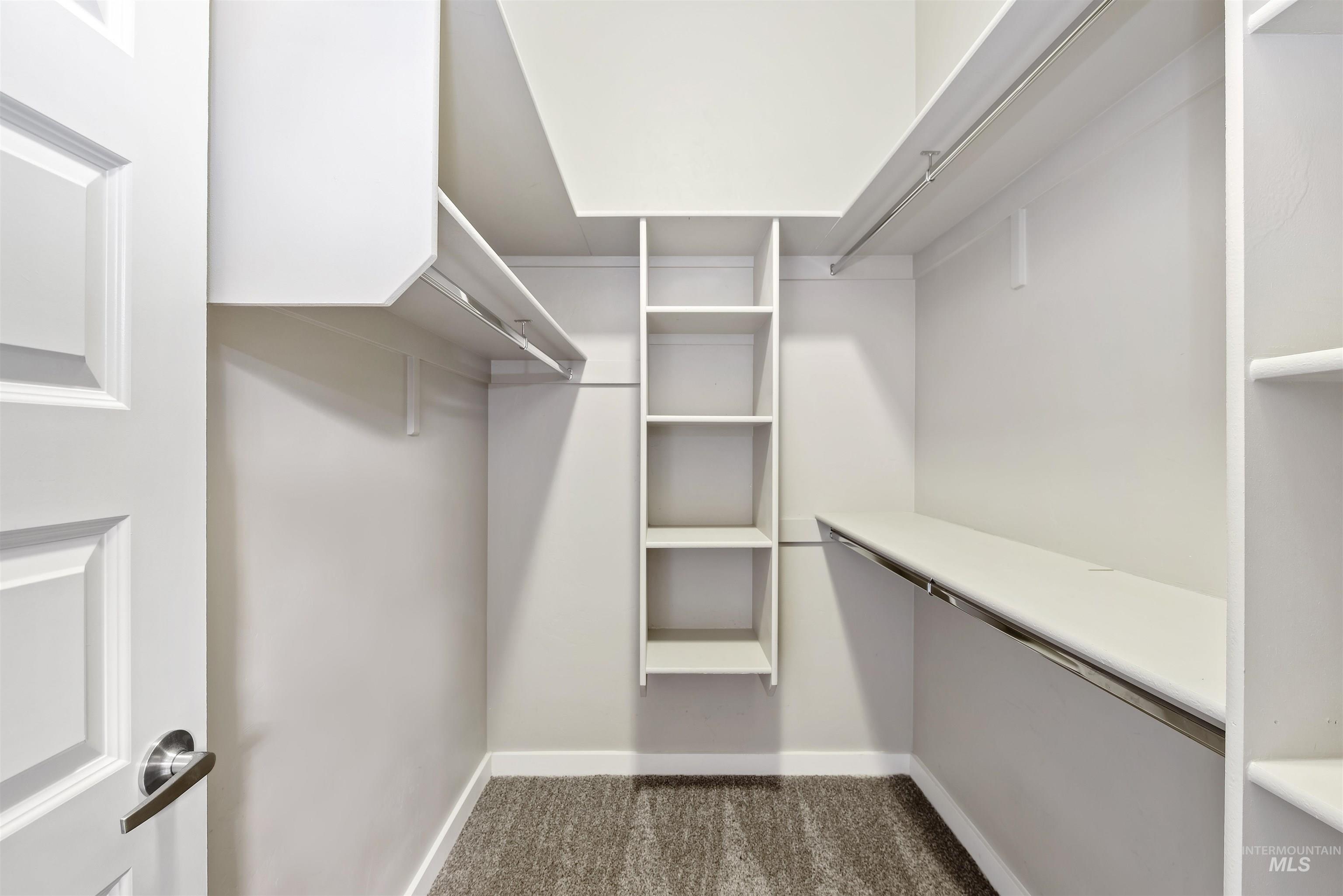 Spacious closet featuring dark carpet