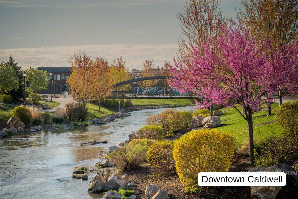 View of community with a water view and a yard
