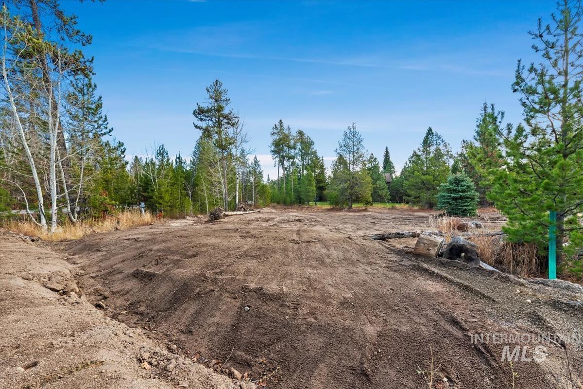 View of yard featuring a forest view