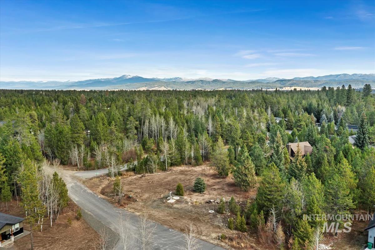 Mountain view featuring a heavily wooded area