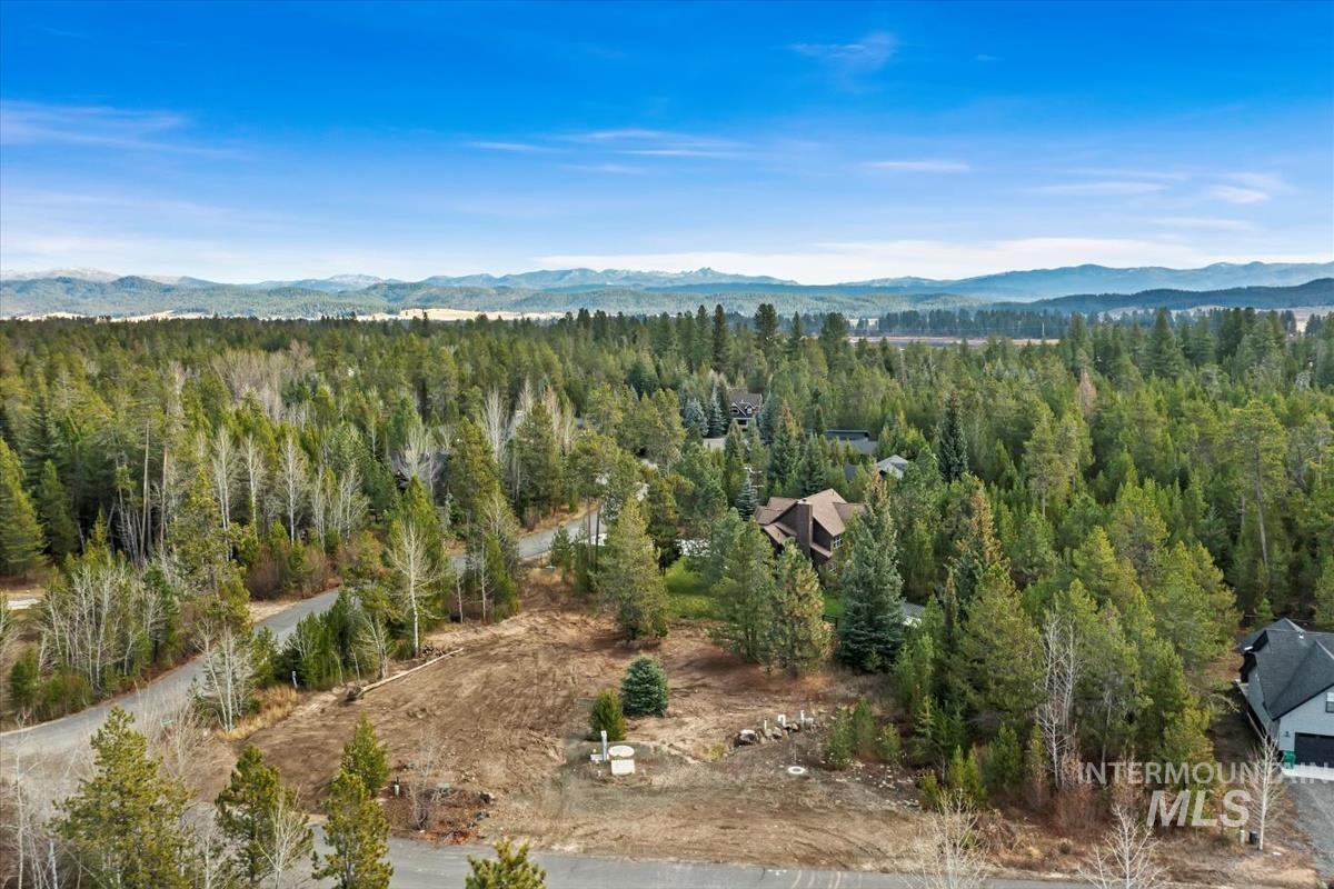 View of mountain background featuring a heavily wooded area